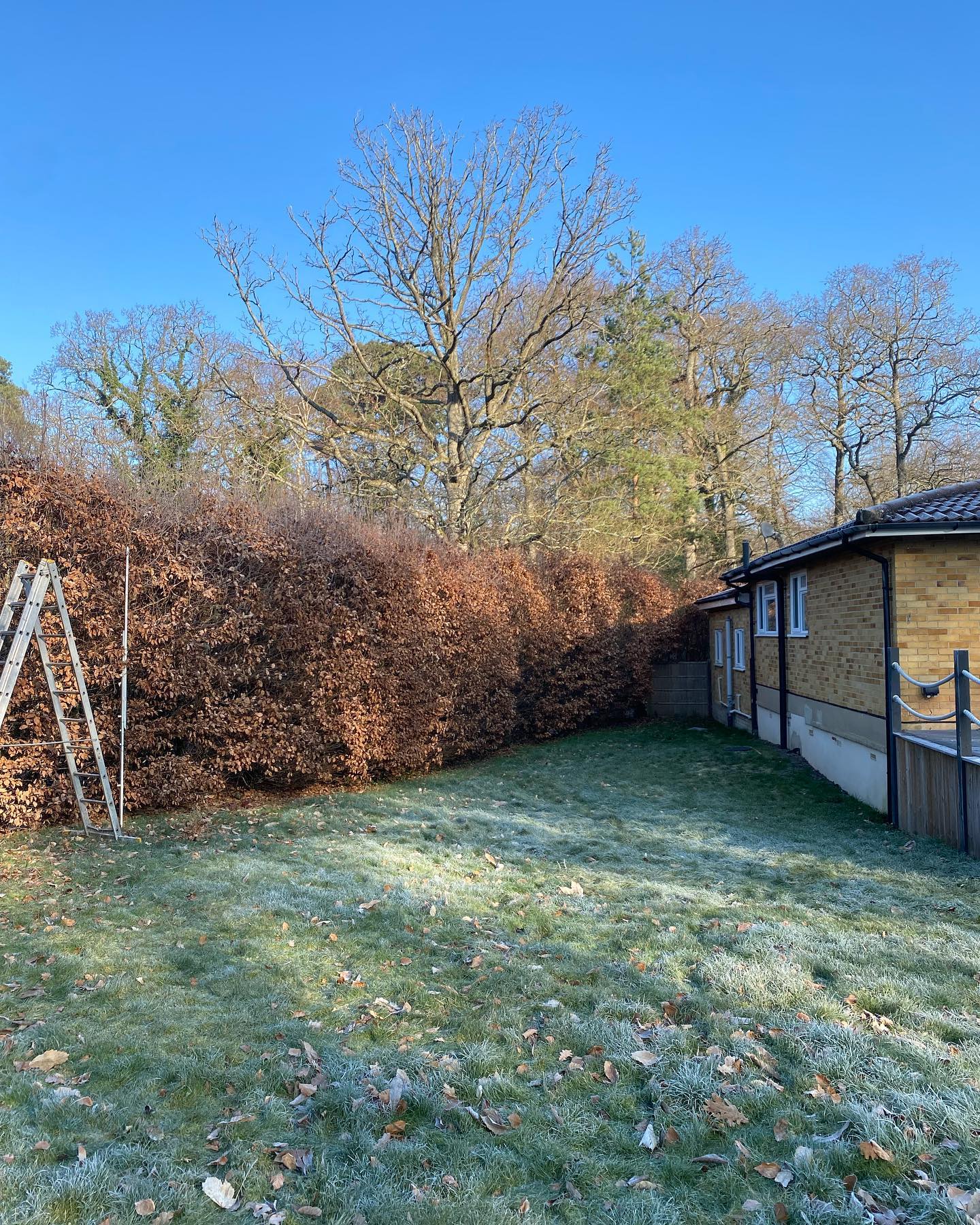 Palmers Tree Care & Management.
A Beech hedge we put a new line into a touch lower than the previous & trimmed both sides. The hedge is approx 250 foot long and stretches onto the front drive as well. Purposely left a step up as per the clients spec. They wanted to avoid the neighbours looking into their garden so we left the section you can see in the video a little higher to avoid this.