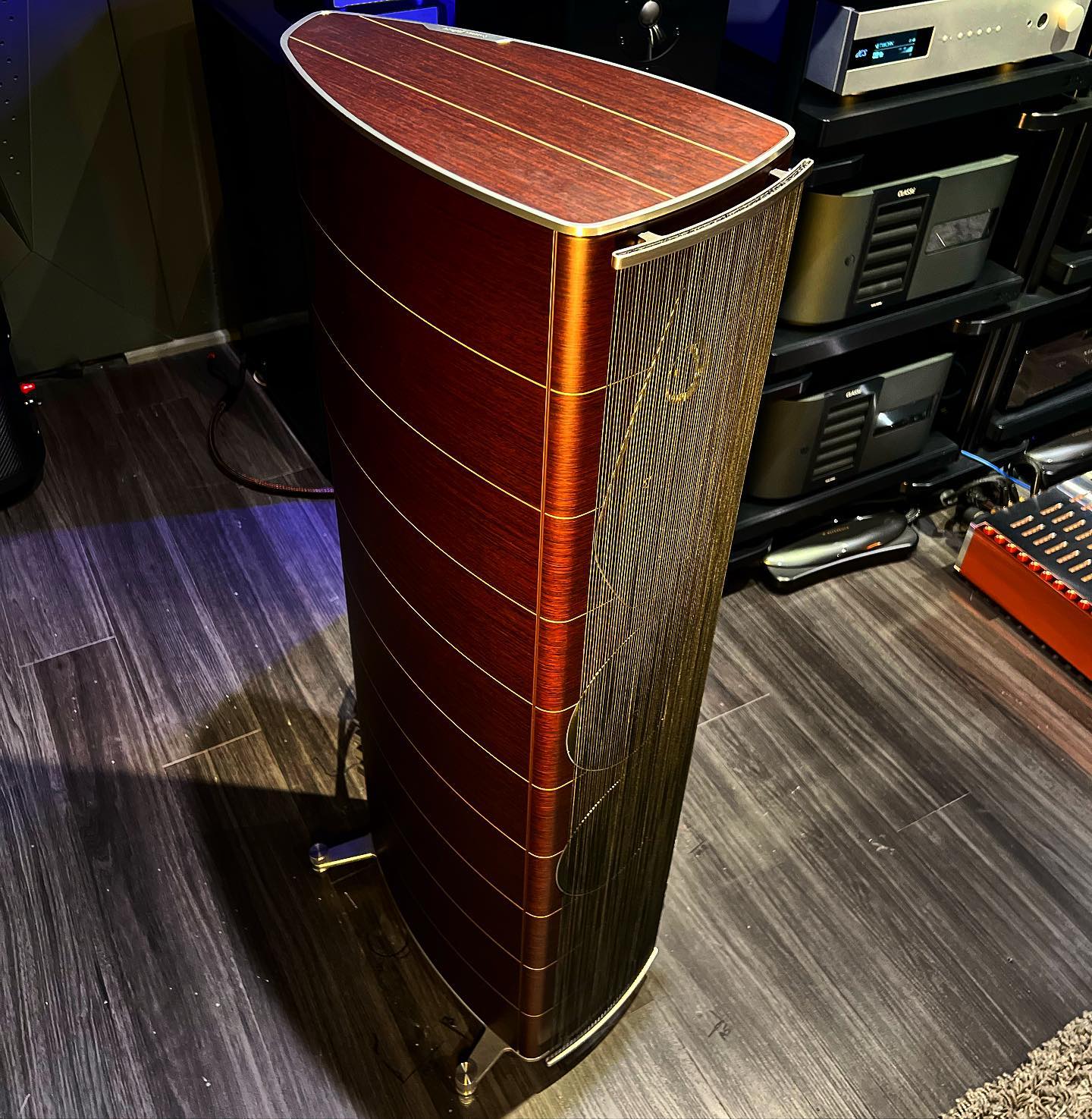 Playing with these ladies today @sonusfaberofficial Olympica III