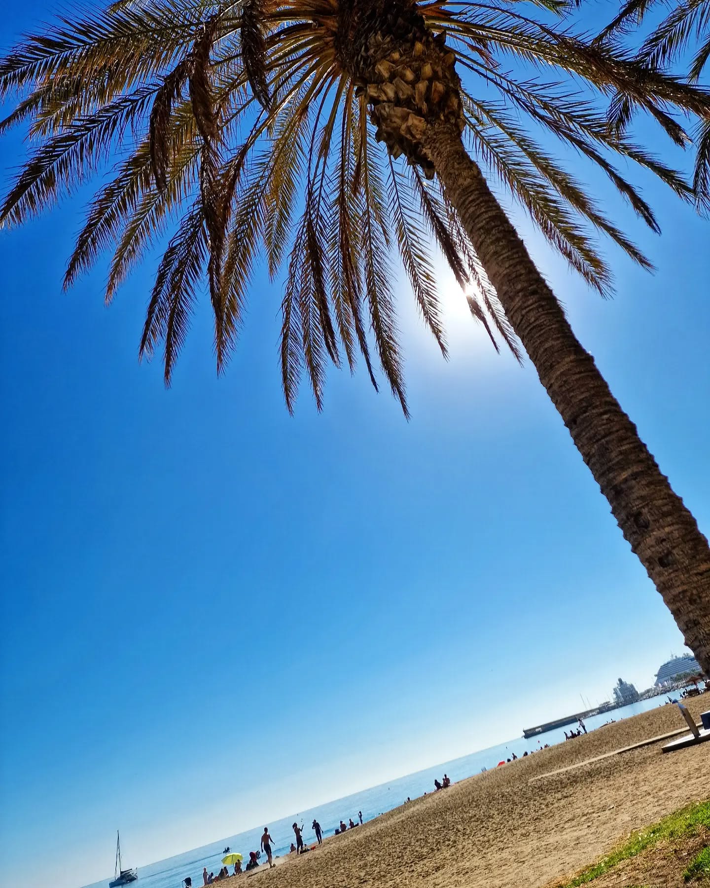 📍 La Malagueta #summervibes 🌞
.
.
.
.
.
.
.
.
#lovingmalaga #málaga #malaga #malagalife #malagaturismo #malagaspain #malagatoday #andalucia #ckmalagalife #ok_malaga #ok_andalucia #españa #spain #estaes_malaga #visitspain #visitmalaga #costadelsol #ok_spain #photosofmalaga #malagaconacento #spain_all_pics #euinspi #travel #travelphotography #livelovespain #lifeofspain #ilovespain #enamoratedemalaga #palmtrees