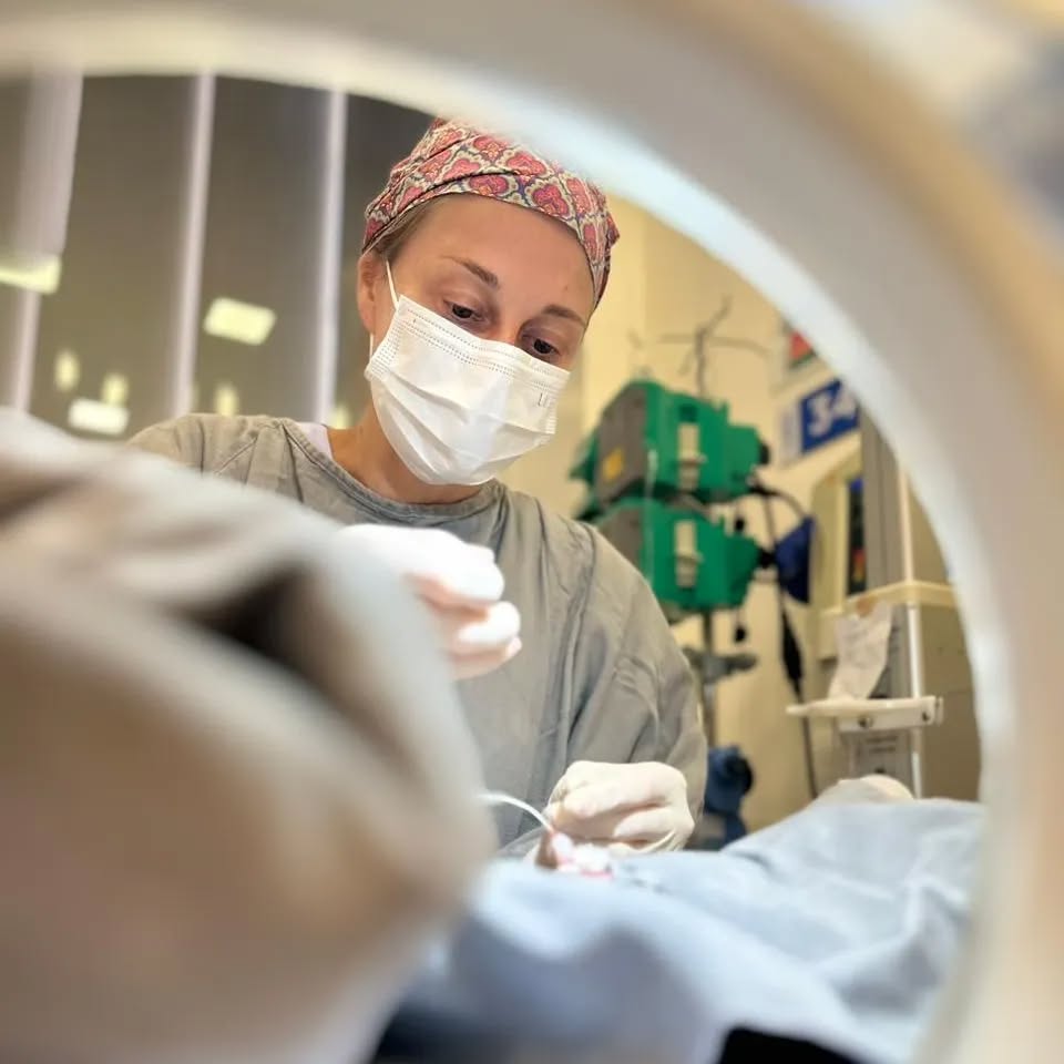 Muito orguho em fazer parte de uma equipe sincronizada, eficiente e ao mesmo tempo leve e amorosa ❣️
@hospitalsepaco
Muito valor pela sintonia de hoje entre médicas, enfermeiras, fisioterapeutas, técnicas de enfermagem. (PS. Sim, todas mulheres hoje no caso). 👏👏👏👏
UTI cheia, bebês graves e novos pequenos visitantes chegando.
Grata pelo dia de hoje 🙏 É muito bom encerrar o plantão com a satisfação de termos feito nosso melhor e verificar que os resultados são reflexo do nosso estado de presença, acertividade e leveza.
Nossos prematuros são 💪
👉🏼 Na foto, estou passando cateter umbilical em um recém nascido de menos de 2 horas de vida, com 640 gramas. Deu tudo certo no final 😃
📸 Click da Deylise 📷
#utineonatal #prematuro #recemnascido #gemeas #gemeos #medicinacomamor