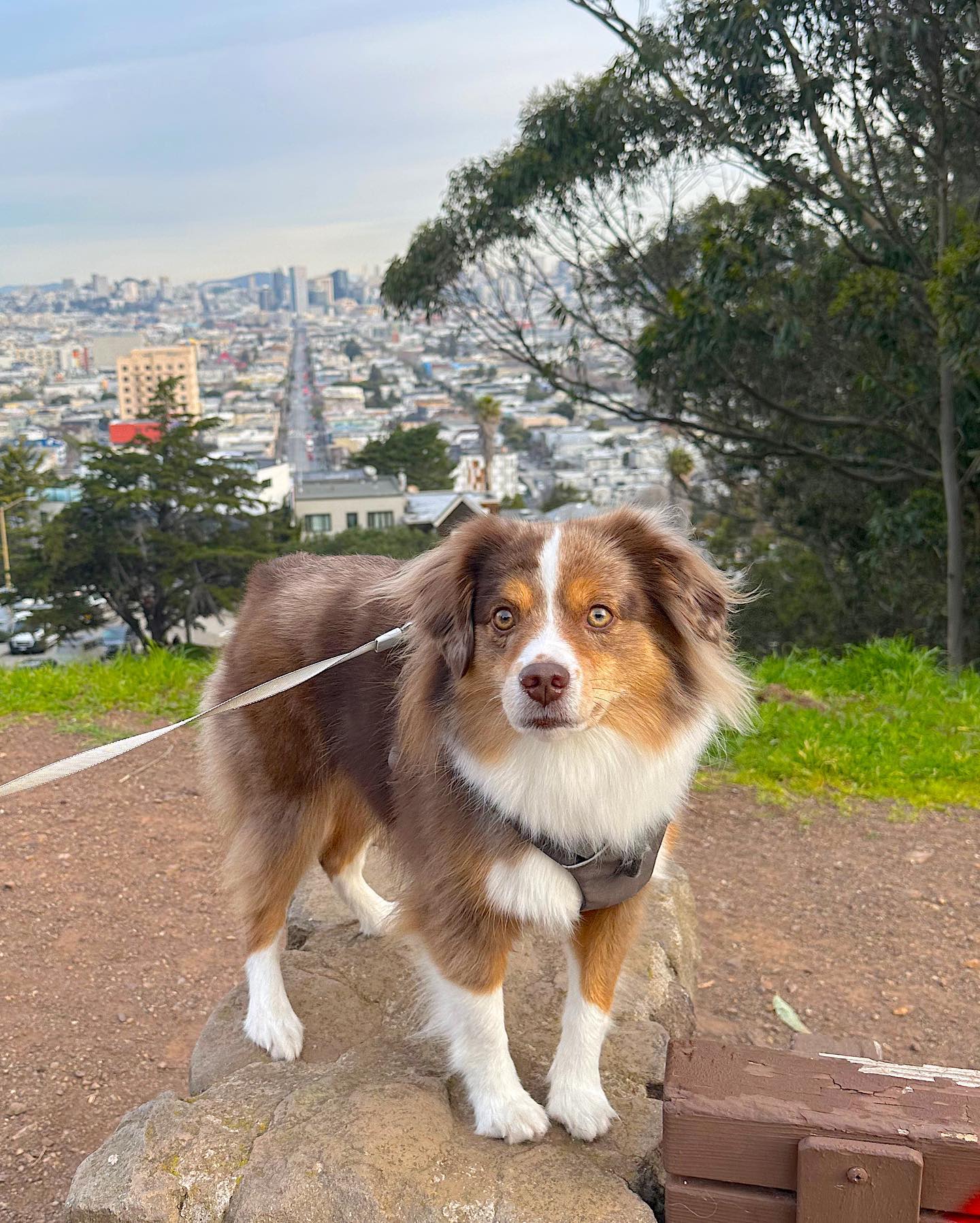 Miss Thea is ready for a fun long weekend 🤎