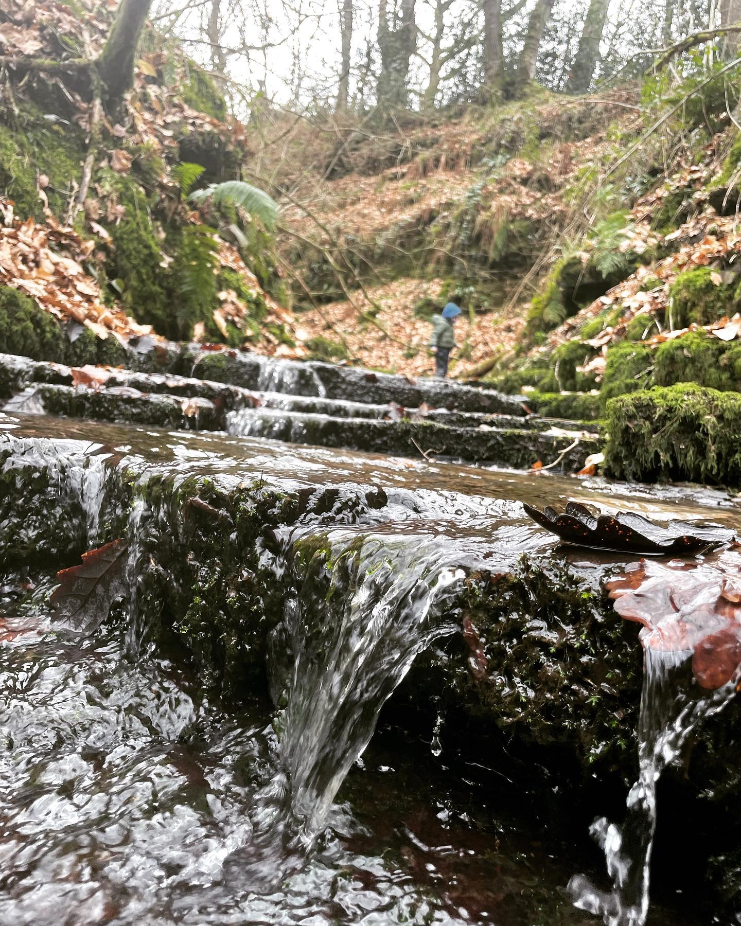 Exploring mid Wales…
We’re so lucky to be surrounded by hidden treasures like this…so many adventures to be had
#adventures #midwales #nature #outdoors #thingstodo #explore #exploreoutdoors #waterfall #getoutside