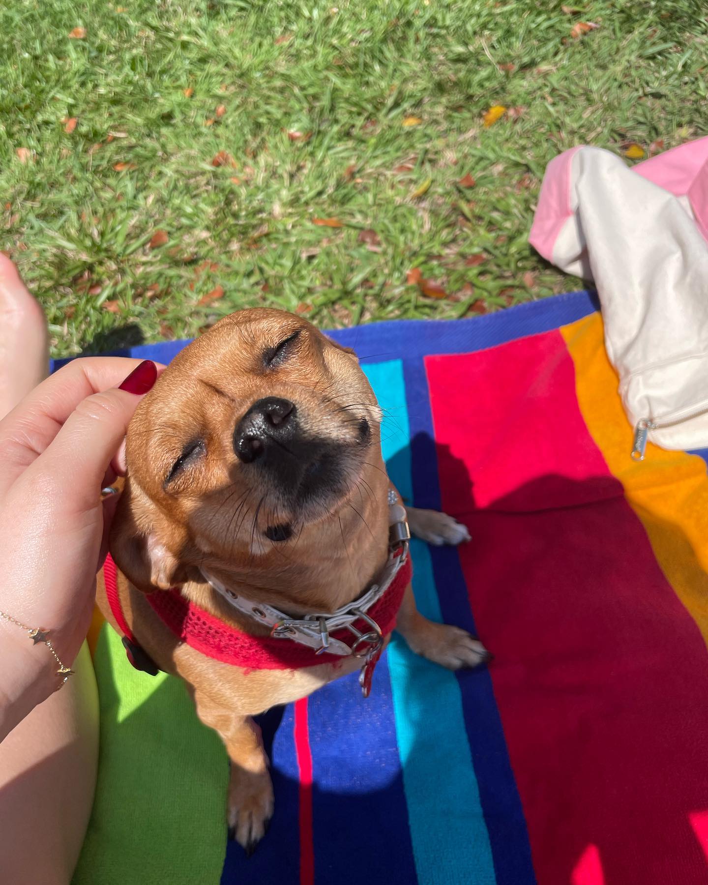 the latest (and greatest)