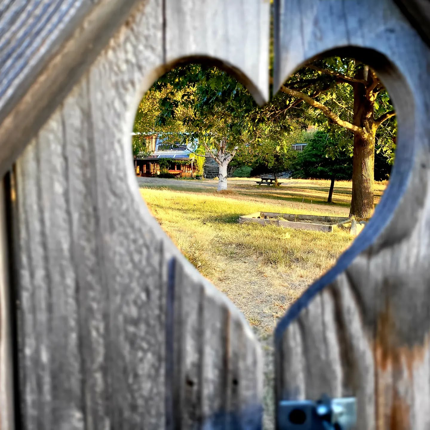 The perfect vignette - looking back at the house from our lovely garden gate.
@purenewzealand #newzealand #wanaka #lovewanaka @wanaka #mountainspirit #meditation #retreats #yinyoga #experientialeducation