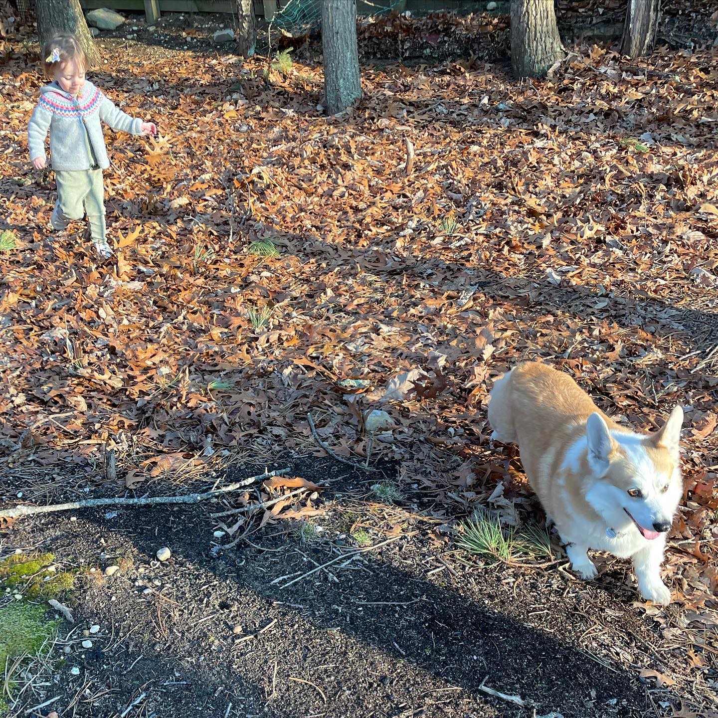 I love Brooklyn, but love it more when I get a break from it.
This pic captures how the weekend has felt. Plus, 2 of the wonderful creatures making is special. Adults not pictured, even more fun to catch up with and just hang out with without trying to ādoā anything. The best. #nofilter
1 more night in this cloudlike bed. Noon train back to the city tomorrow. (And writing here in the morning, which I always love, and on the train. Always so good to write in a new place. Kind of wanted to this weekend, but decided I needed a little break more. The tight spring doesnāt really unwind if you keep retightening at the same time.