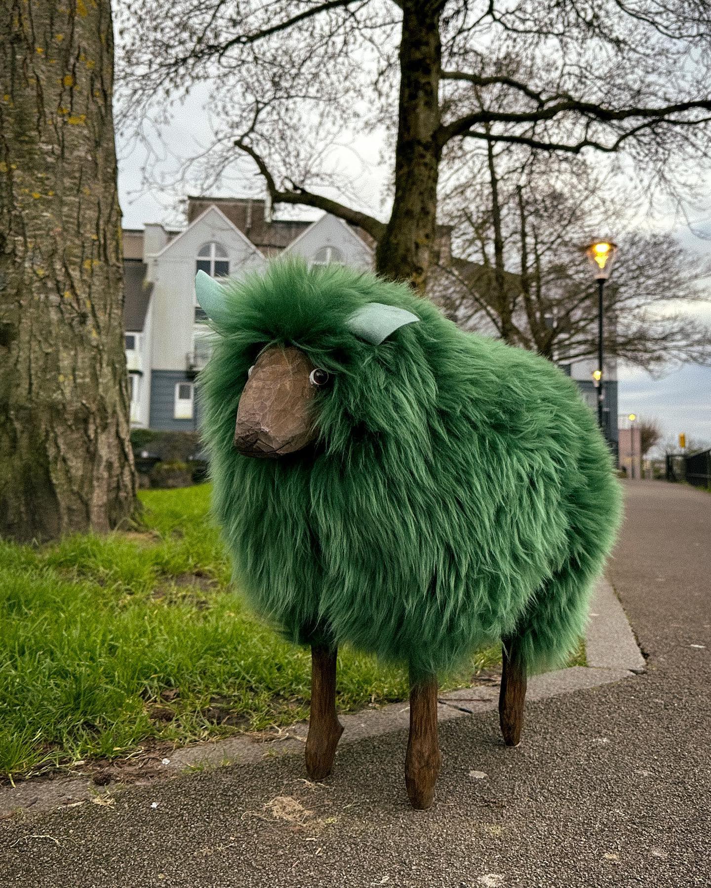 Have you meet Patrick! Introducing out special edition green Atlantic Collection sheep to celebrate our national day St Patricks day, available in small and medium 🐑☘️
#galway #sheep #ireland #irelandtravel #homedecor #souvenir #greensheep #patrickday🍀