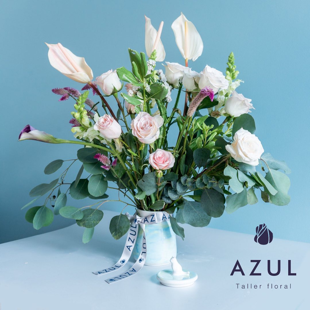 W H I T E F L O W E R - Hospitalidad, abundancia y elegancia. Los Anturios representan la pureza, la paz, la armonía y la inocencia.
Esta flor está en tendencia y quedarás como 👑
#floresbogota #arreglosflorales #regalospersonalizados #regaloscorporativos