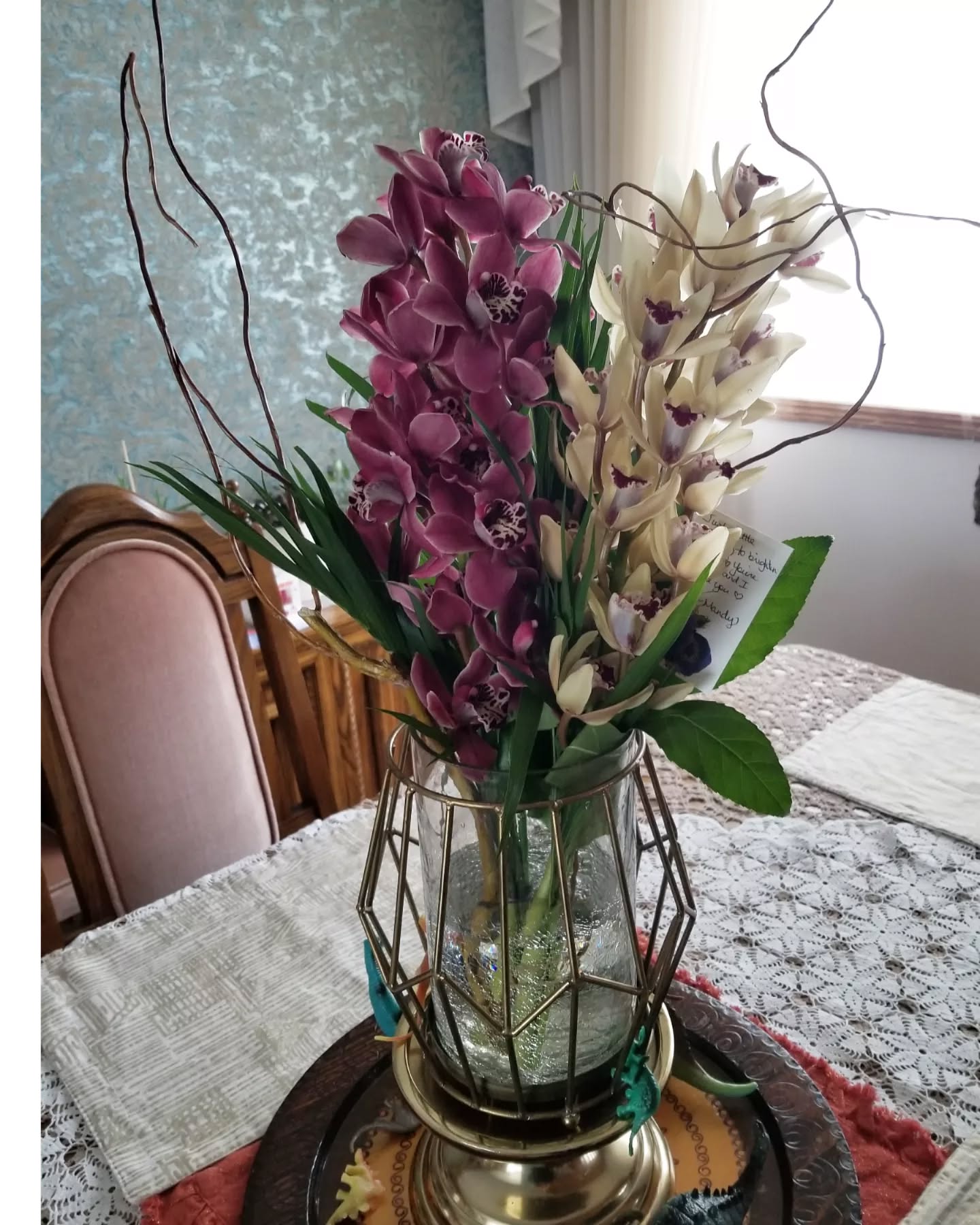 The prettiest orchids from the best sissy ❤️❤️