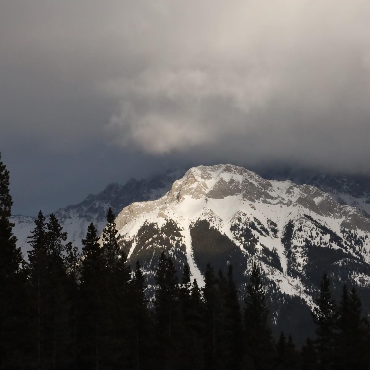 Chasing that sun… don’t forget daylight savings changes our clocks tomorrow: Sunday, March 12! “Spring forward” and don’t be an hour late for church! (None of us have ever done that, nooooo.)
Remember: there’s coffee and treats at 9:45 for those who need help after losing an hour of sleep…
📷 @serendipimoose