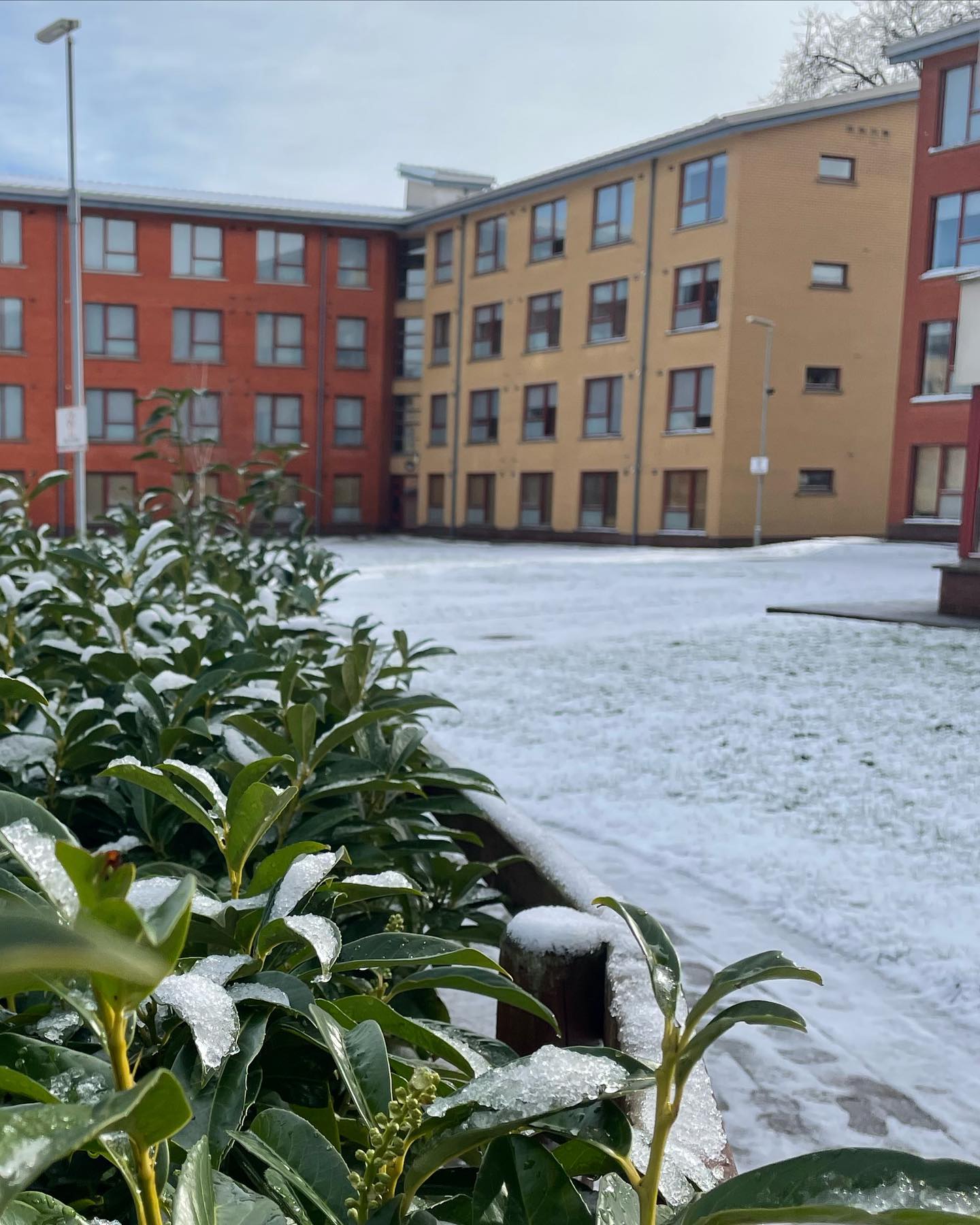 Snow Day in Hazelwood ❄️ ⛄️ #studentaccommodation #santry #student #snow