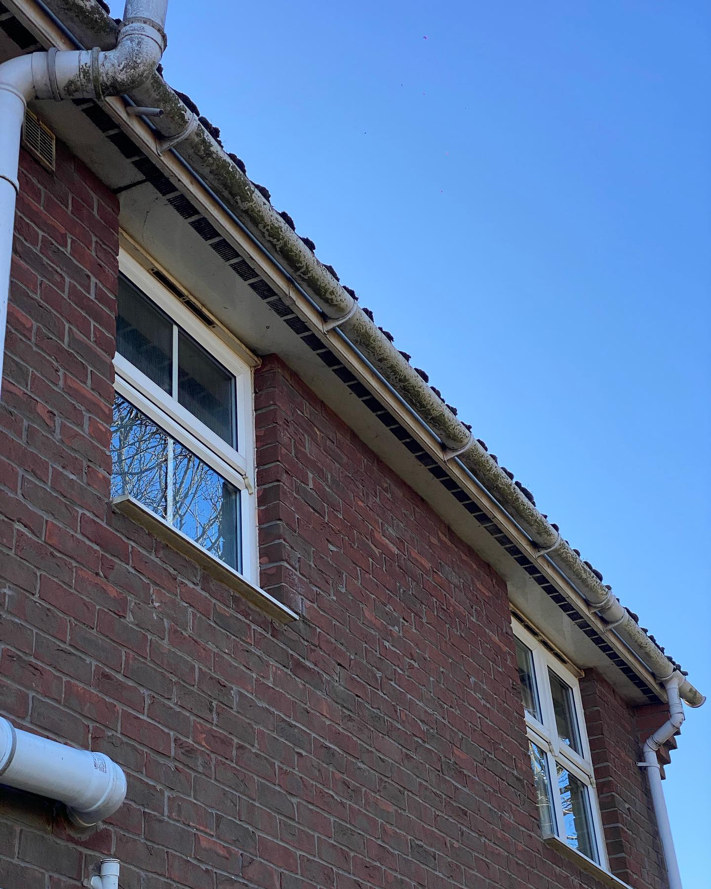 Nice tidy up on these gutter & fascias before the property goes up for sale ✅👏🏼
