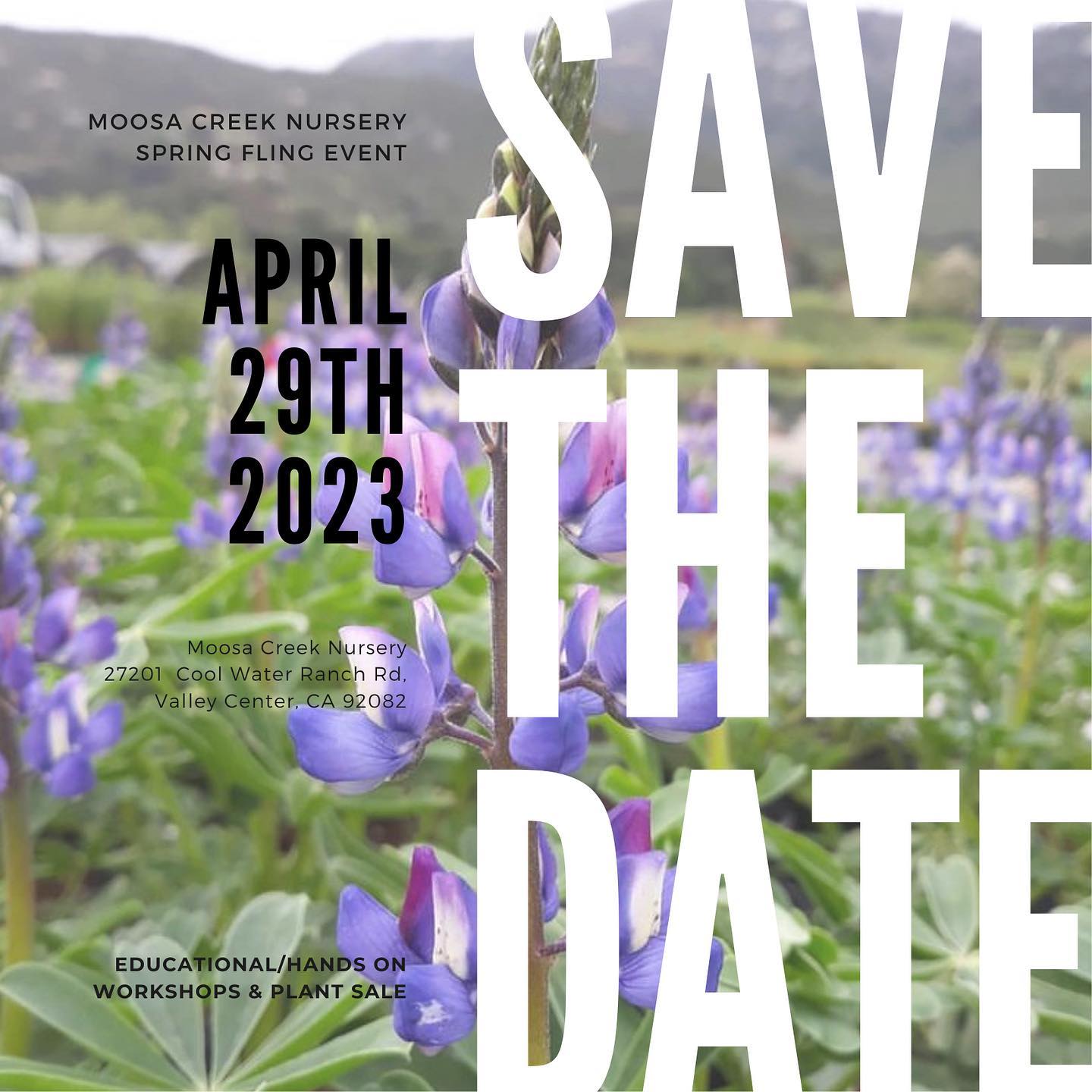 ๐ผ๐ธJoin us on Saturday, April 29th for our family friendly Spring Fling event! ๐ธ๐ผ
We have a fun filled day planned of workshops, educational speakers, local artisans, music and of course, a CA native plant sale!
Tickets available now through link on profile.
Stay tuned for speaker/workshop and vendor announcements! โบ๏ธ
#springisnear #springfling #springinsandiego #southerncalifornia
#californianativeplants