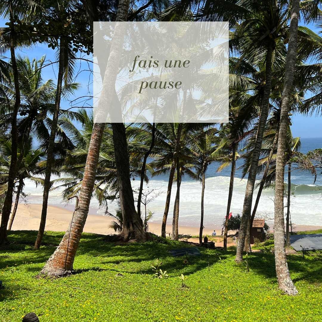 Laissez l'ayurveda prendre réellement soin de vous. Info : webinar gratuit le 19 mars à 16H (inscription sur https://www.billetweb.fr/presentation-cure-ayurvedique-au-kerala).
#vaidya #ayurvedatraditionnelle #sejourayurvediquekerala #sejourayurvedique #cureayurvediquekerala #voyagekerala #ayurvedatreatment #soinsayurvediques #ayurvedakerala #panchakarma #keralaayurveda #prakriti #vatapittakapha #cureregenerante #curedetox #cureantiage #immunite #sefairedubien #etrezen #energyboost #yoga #sejouryogaayurveda #remiseenforme #retraiteayurvediquekerala