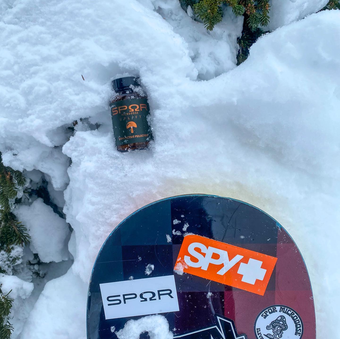 Exploring the mountains and the mind 🏂🍄
#snowboarding #mushroom #adventuretime #mindfuljourney