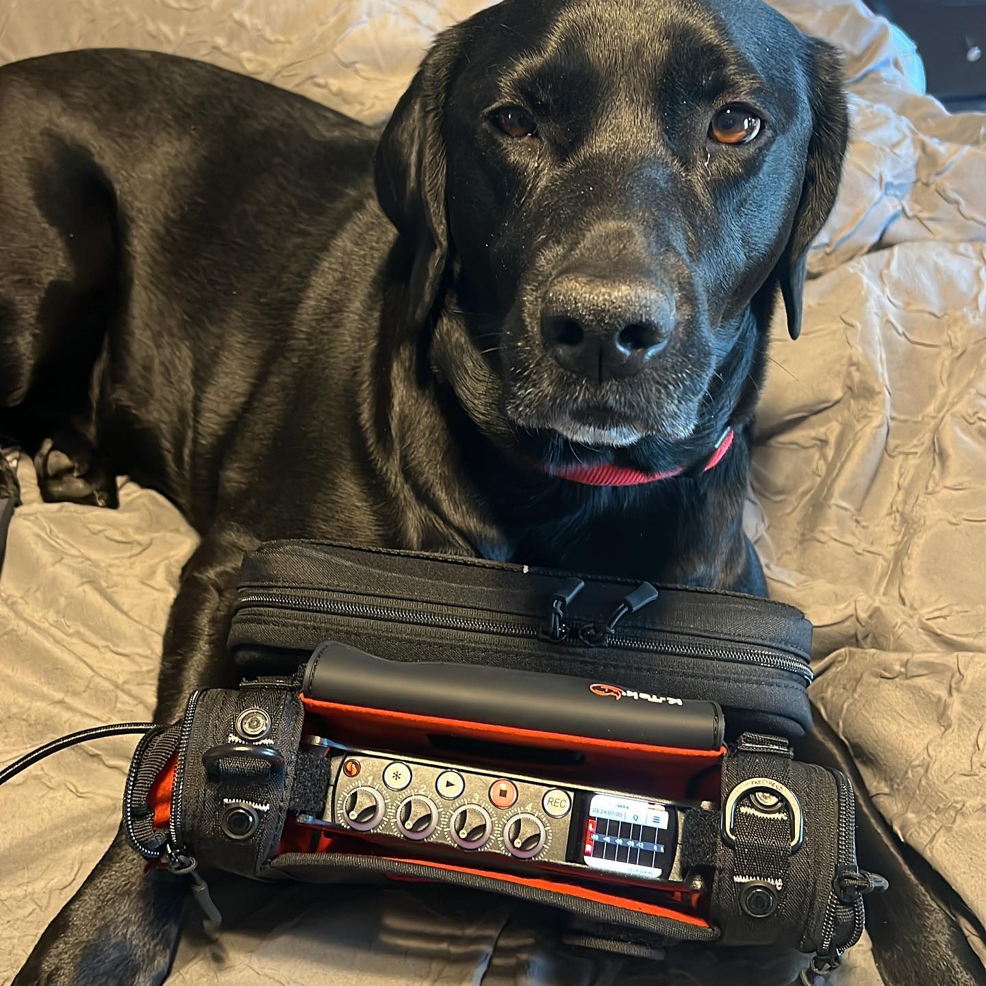 Newest member of the family
#mixpre6 #sounddevicesscorpio #sounddevices #soundmixers