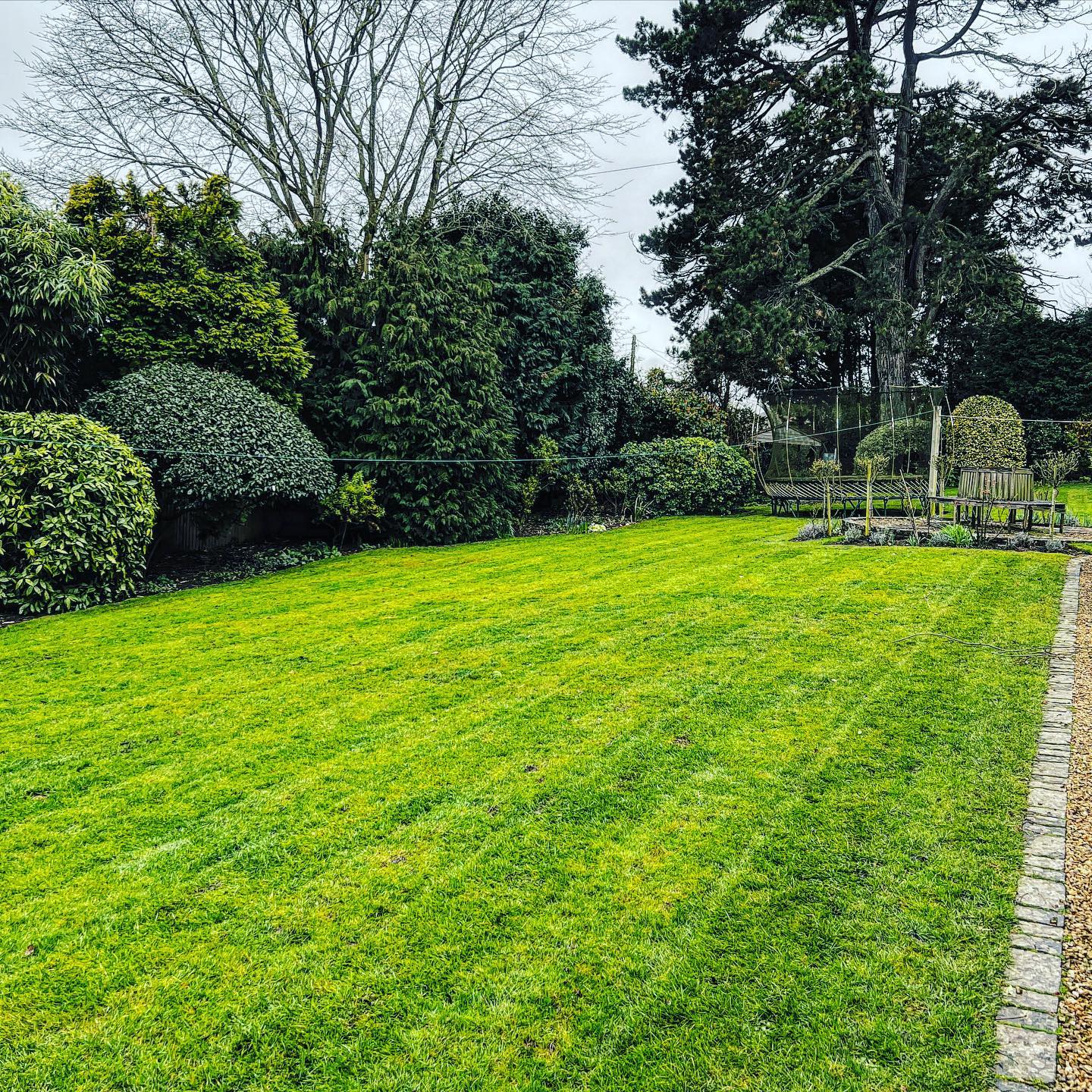 Getting some first cuts in this week!!
#lawncare
#lawnmaintenance
#egopowerplus
#egomower
#batterypowered
#gardenmaintenance
#gardeninspiration
#gardendesign
#professionalgardener