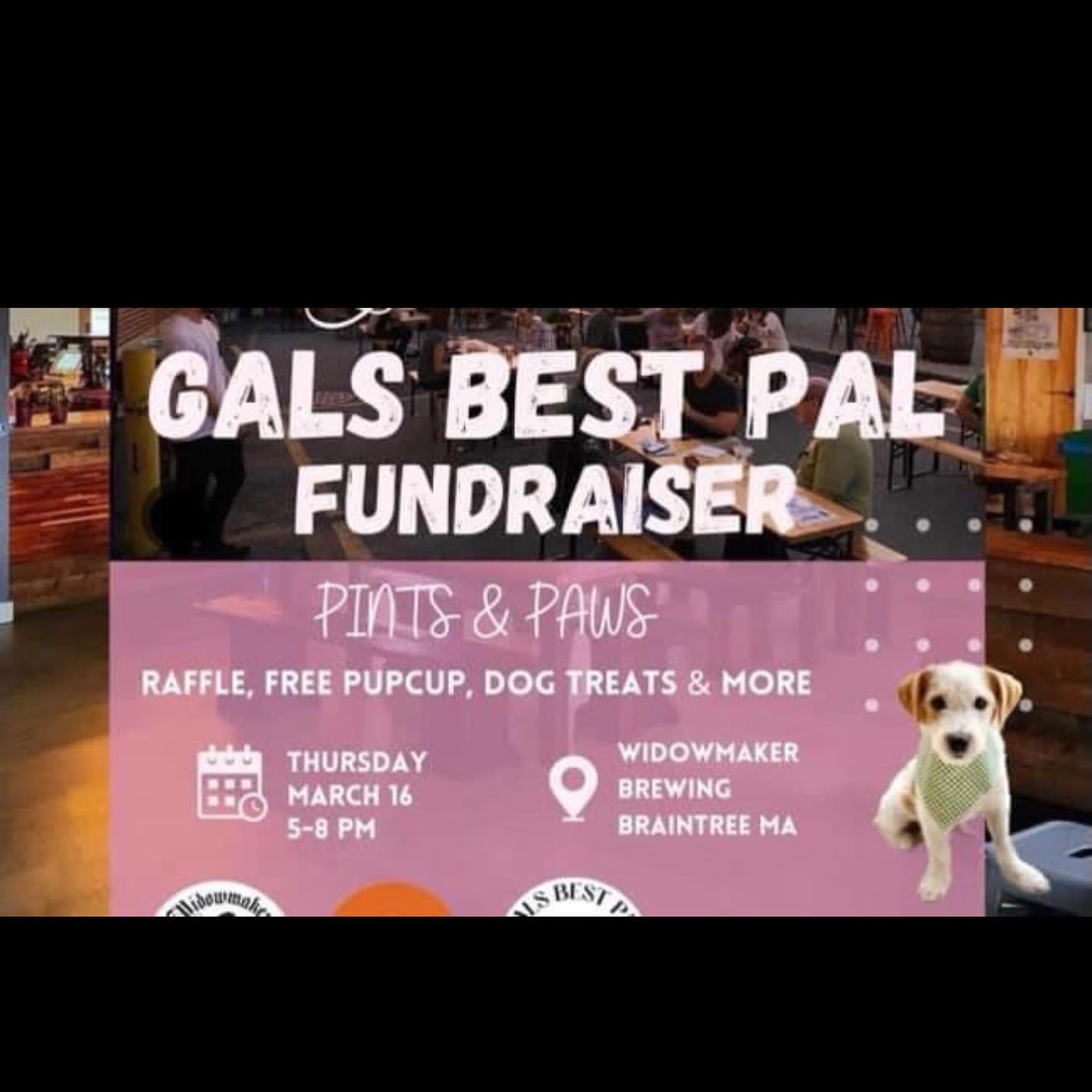 What a great event @widowmakerbrew ! I loved seeing all the pups that were adopted with their happy families🥰 @gals.best.pal Thank you for having us🐶 you all are truly a wonderful team and an amazing cause🐾