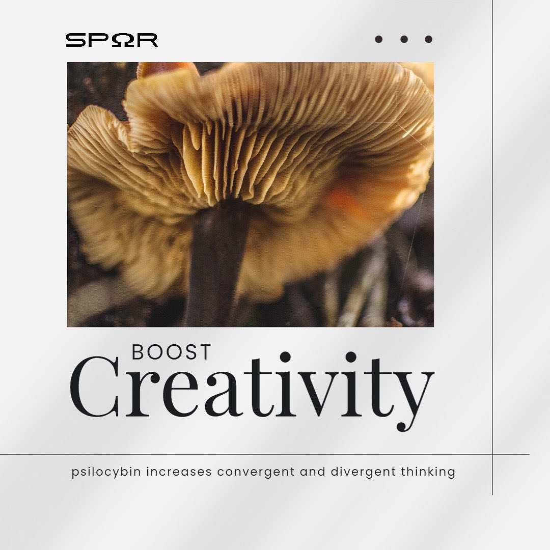 Unlock your inner creativity with a touch of magic 🍄✨ Microdosing has been known to help individuals tap into their creative potential and explore new perspectives. Have you tried it yet?
#fungi #creativity #mindexpansion