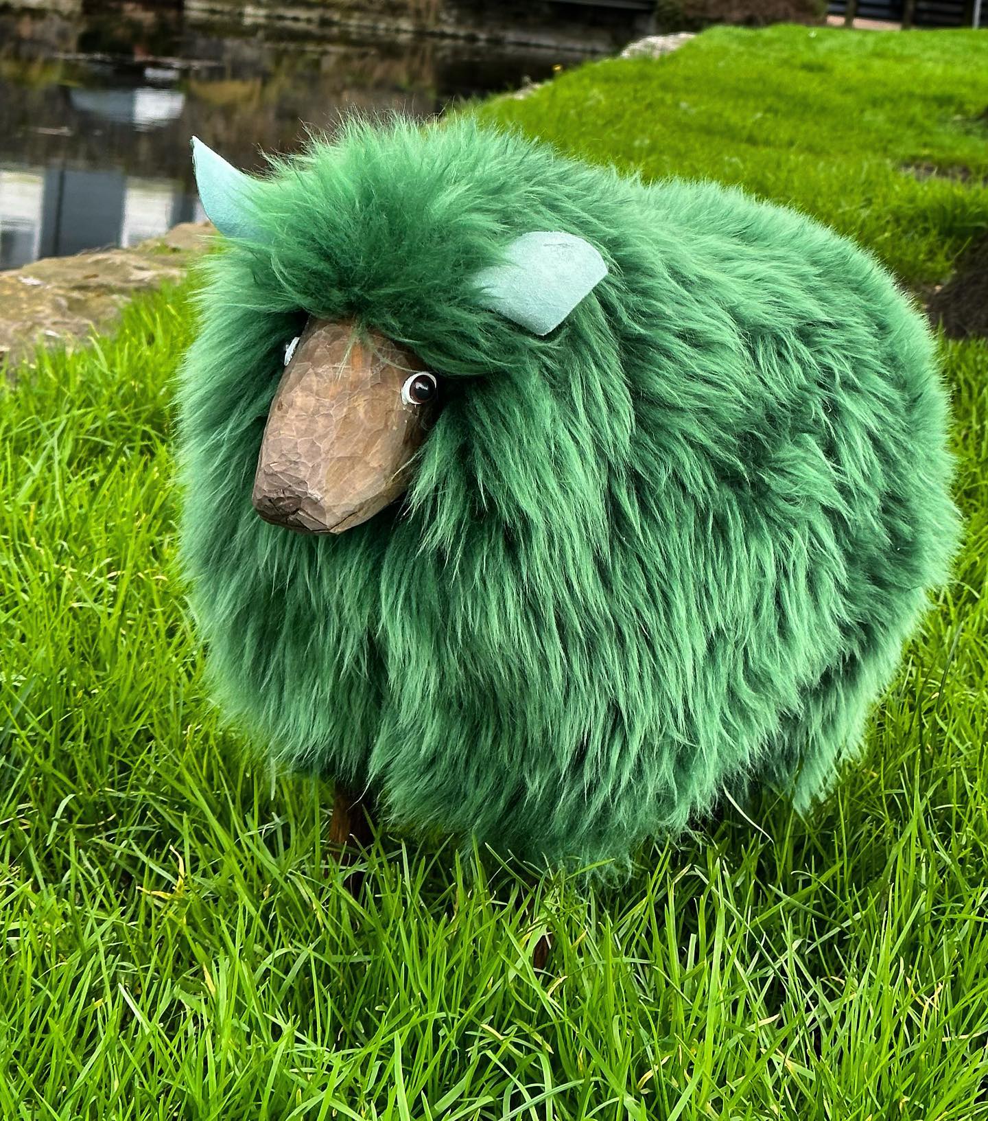 Wishing you all a very happy St Patrick’s day wherever you might be, you are with us today. Lá Fhéile Padraig from all of us at The Sheep Galway ☘️🐑💚
#sheep #ireland #stpatricksday2023
#galway #patrick #stpatricksdaydecor