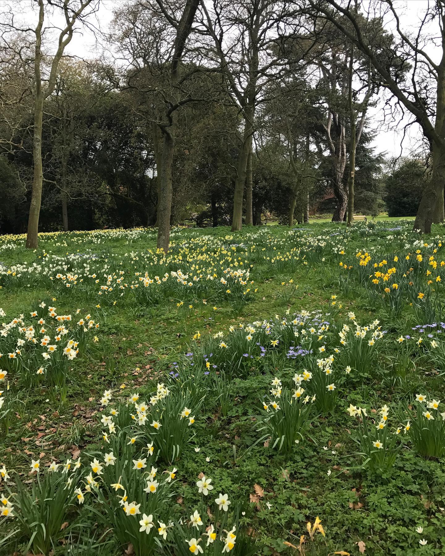 🍀 happy st. Patrick’s 🍀
📷 from our magical year spent in my native land