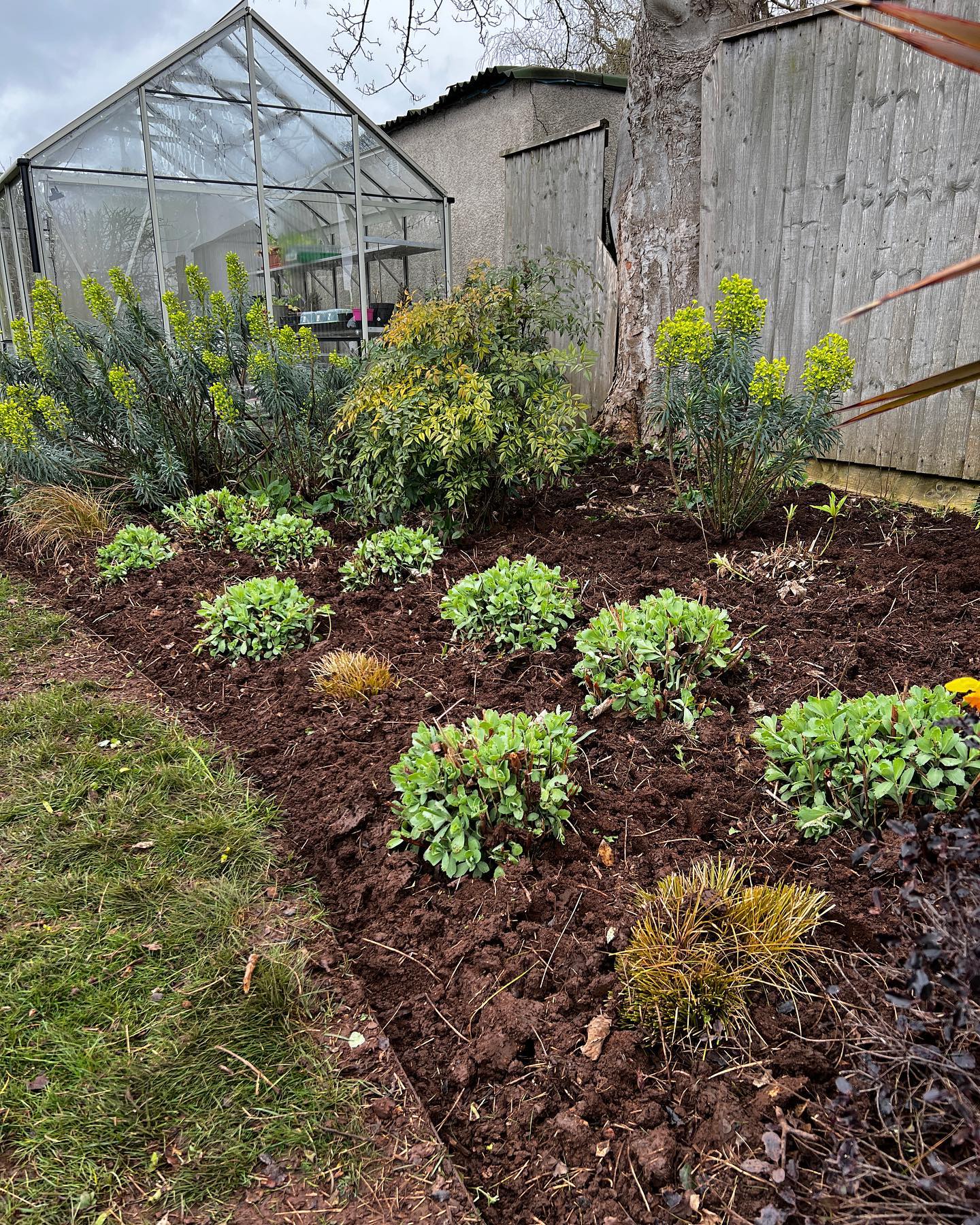 Still lots of tidy ups in preparation for the growing season
#gardendesign
#gardenmaintenance
#gardeninspiration
#gardening
#professionalgardener
#perenialgarden