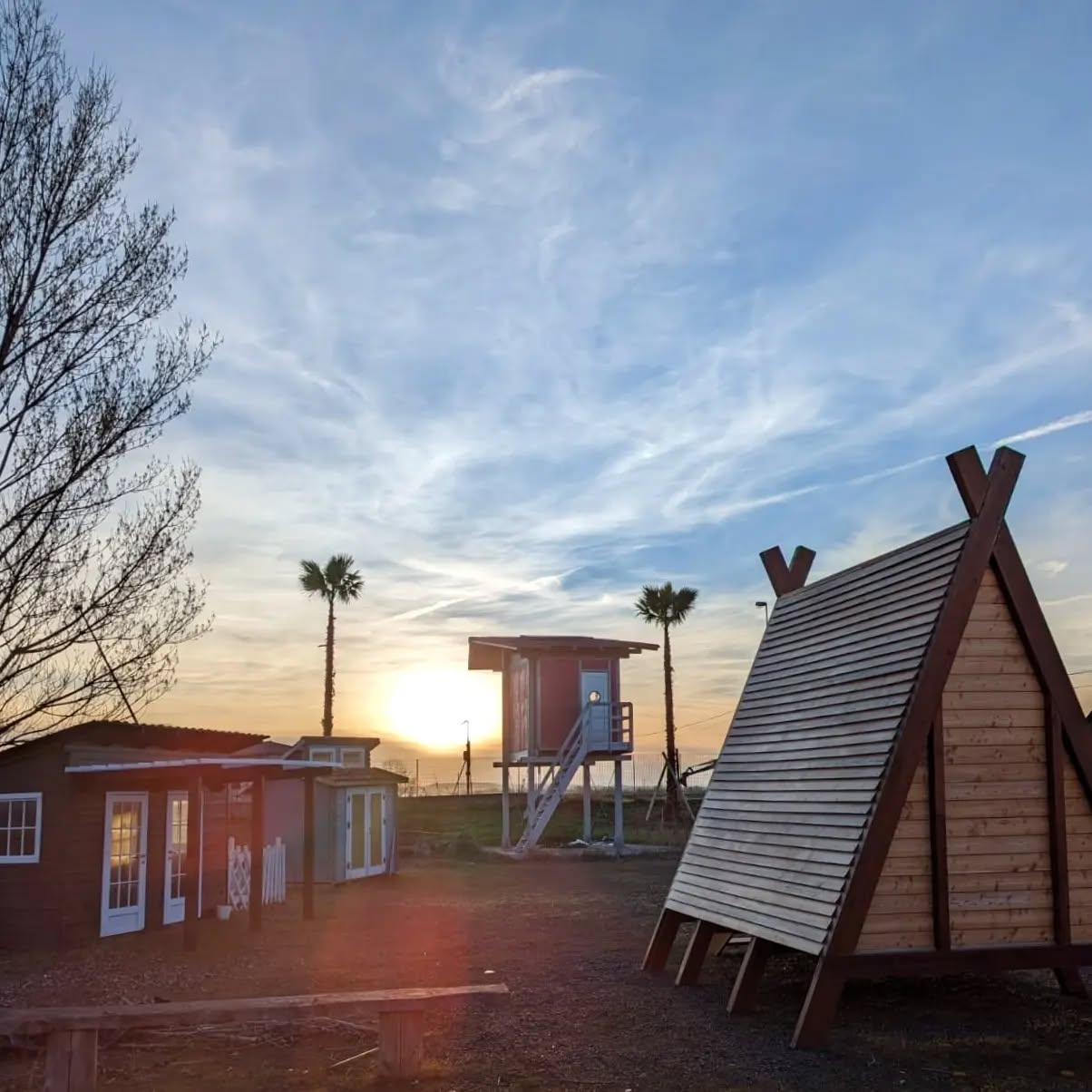 Noi siamo pronti per l'estate 🌴
•
Se passi da queste parti, non potrai fare a meno di notare le tre grandi palme che abbiamo piantato ieri nel giardino della nostra mostra esterna.
•
•
•
Così se adesso sali su Pales, ti sembrerà quasi di essere a Malibù 🌞