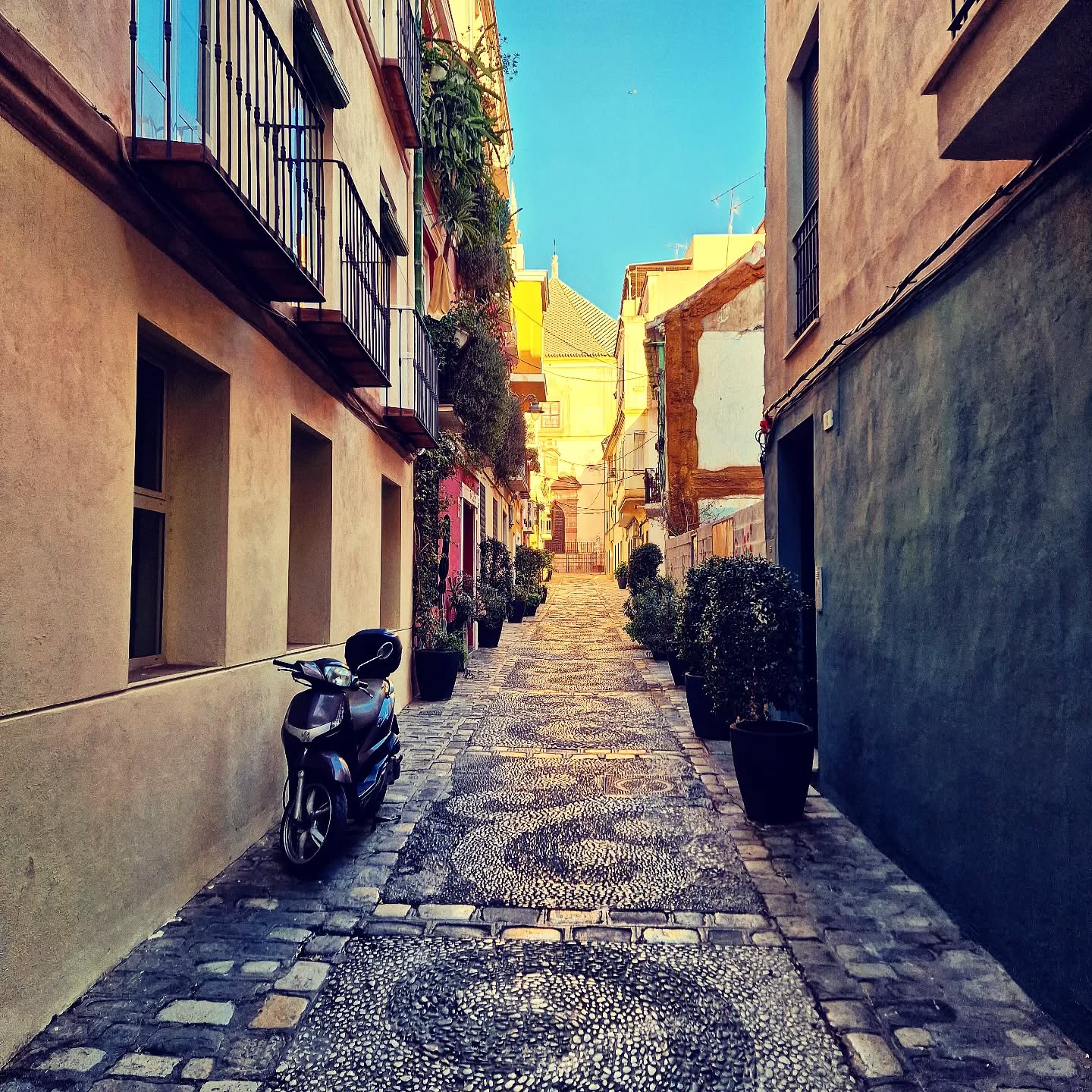 Streets of Málaga 📍 Calle Cabello
❗️ One of Málaga's many narrow, small and charming streets 😍 located a short detour from Calle Carretería, down C. Ollerías.
.
.
.
.
.
.
.
#lovingmalaga #malaga #malagalife #malagaturismo #malagaspain #málaga #malagatoday #andalucia #ckmalagalife #ok_malaga #ok_andalucia #españa #spain #estaes_malaga #visitspain #visitmalaga #costadelsol #ok_spain #photosofmalaga #malagaconacento #spain_all_pics #euinspi #summervibes #travel #travelphotography #livelovespain #latemalaga #enamoratedemalaga #objetivoandalucia