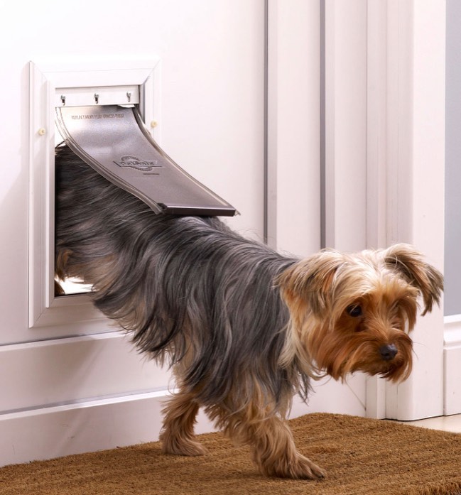 london dog flap
#petflap #dogflap #catflap #cat_flap #london #uk #unitedkingdom