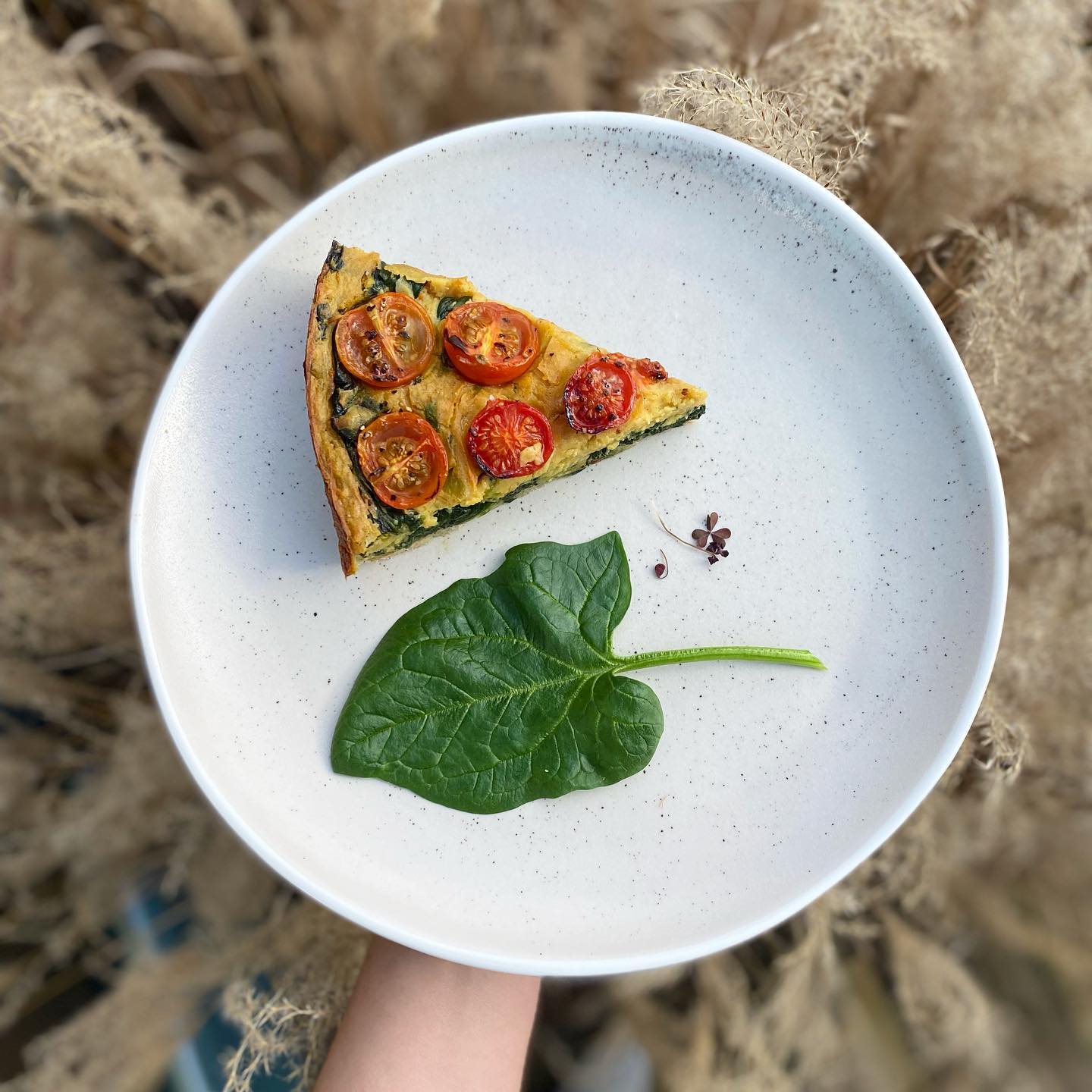 This beautiful spinach had to be used so here weโve got this beautiful Quiche - 100% organic, vegan, seasonal, local and fresh ๐ฑโจ
#yogafood #retreatfood #retreatchef #yogachef #plantbased