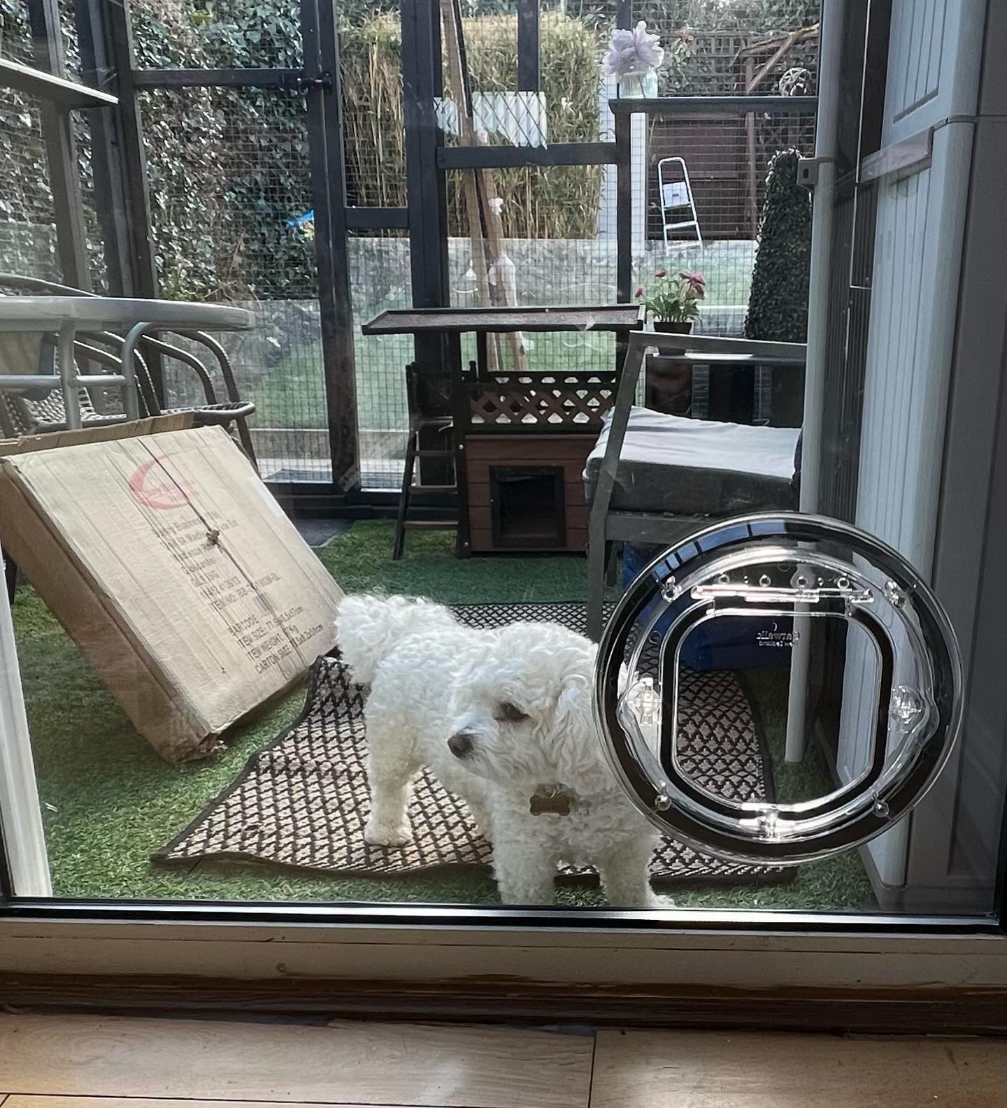 dm us for more information