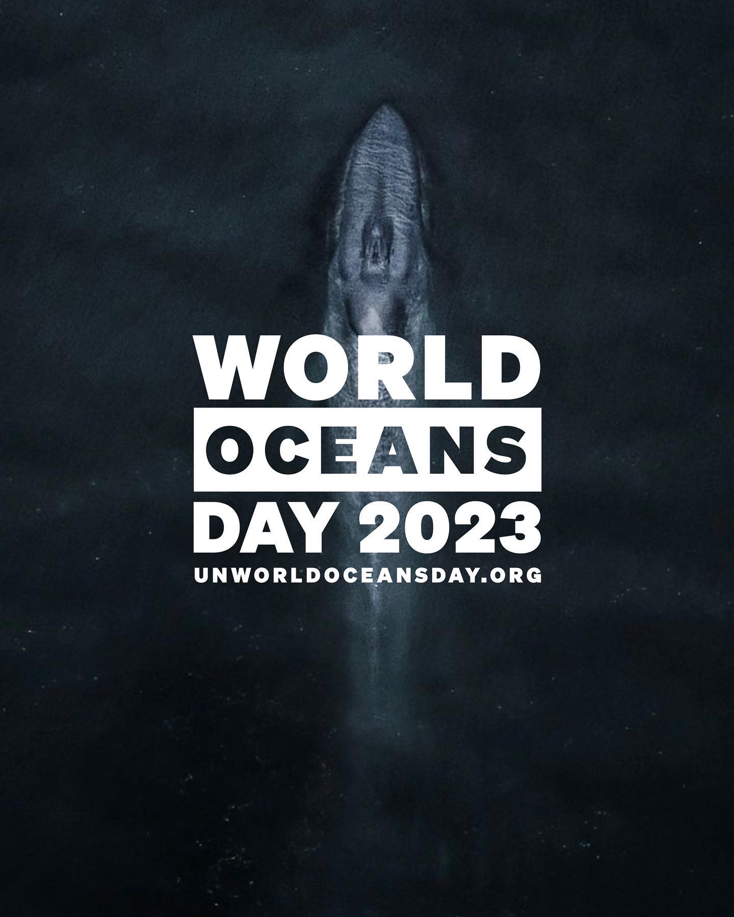 I am truly honored to participate as a judge in the 10th annual Photo Competition for #UNWorldOceansDay by @unitednations 
This competition presents a unique opportunity for you guys as photographers to showcase the ocean’s beauty through your unique content. Winners will be announced on stage in NYC during the UN World Oceans Day event on June 8th and broadcast live on UN TV.
All the information you need are on @unworldoceansday 
The photo competition is curated by @underwaterellen and organized in partnership with @divephotoguide @oceanic.global @undoalos @planetenausicaa and @ioc_unesco