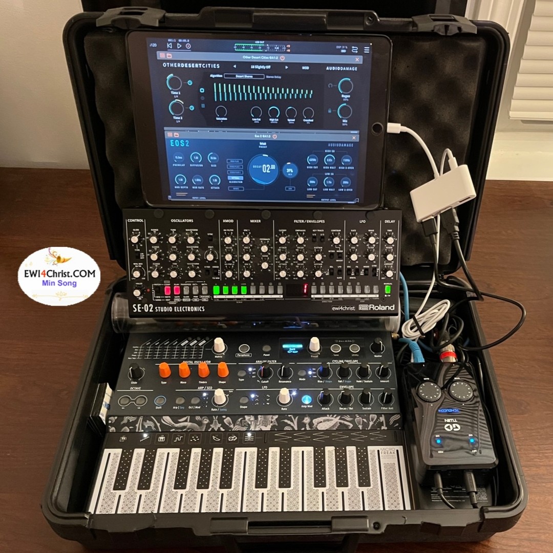 Portable Synth setup for EWI performance with Arturia Microfreak and Roland SE-02 : Tc Helicon Go Twin(preamp & audio interface), 2 USB powerbanks (5, 9-12V output), 2 USB to DC converters. Microfreak sends CV out from EWI breath to SE-02 VCF. iPAD effect apps for sound processing. Microfreak responds to Aftertouch message(AT) from breath controllers.
#ewiplayer #windcontroller
