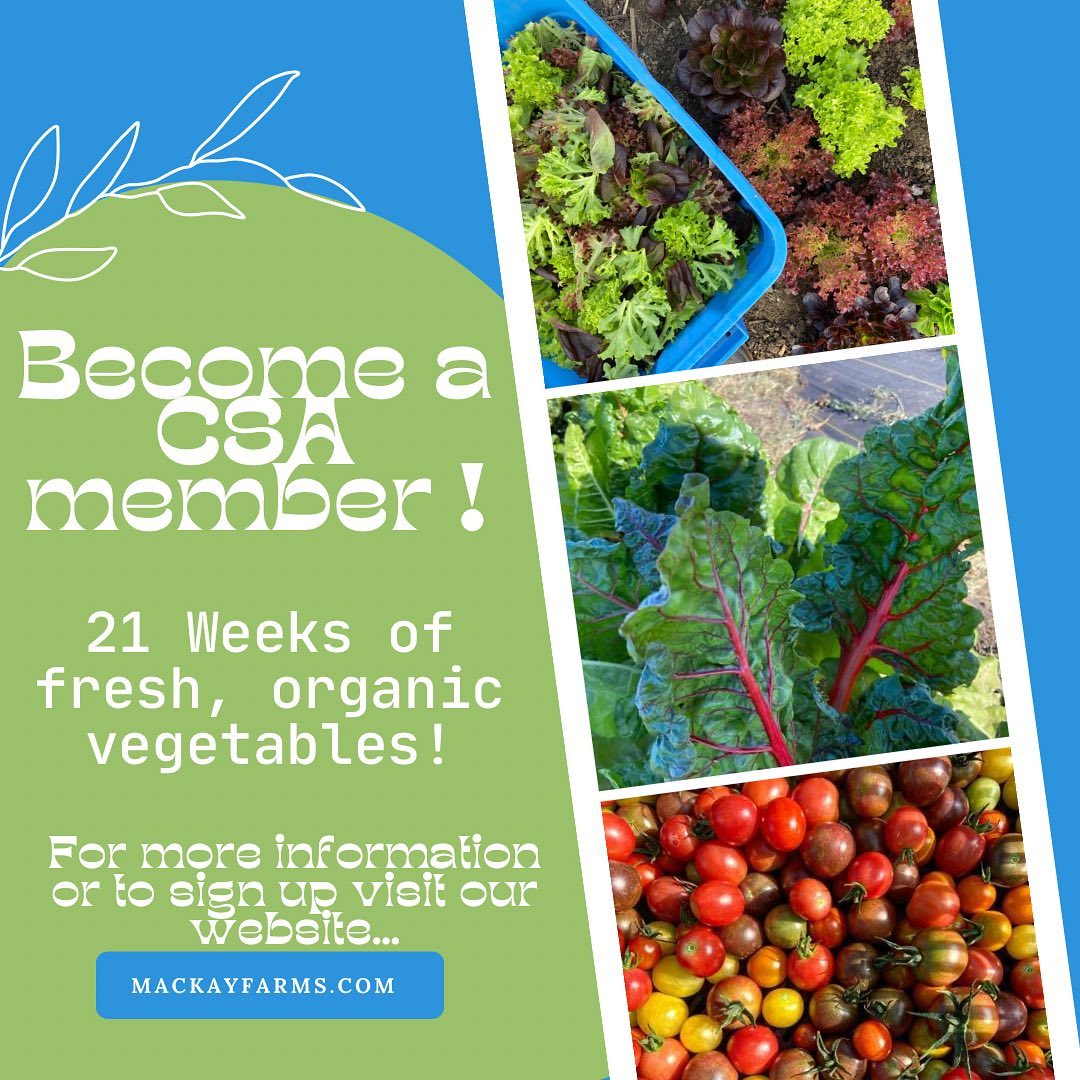 There is still time to sign up to become a CSA member. You can find the sign up sheet and more details on our website. The link to our website is in our bio! Feel free to reach out with any questions.