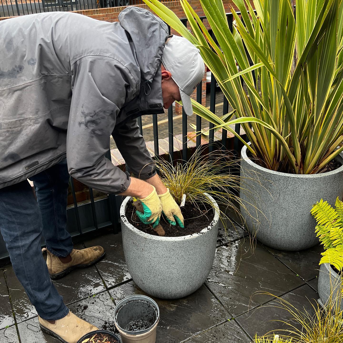 Spring tidy ups continue come rain or shine!!
Replacing failed plants today from last summers heatwaves, it’s also good practice to clean down bird baths regularly to prevent unnecessary spread of disease.
#brabazon
#brabazonbristol
#gardendesign
#gardenmaintenance
#gardenplanters
#showhome
#newhome
