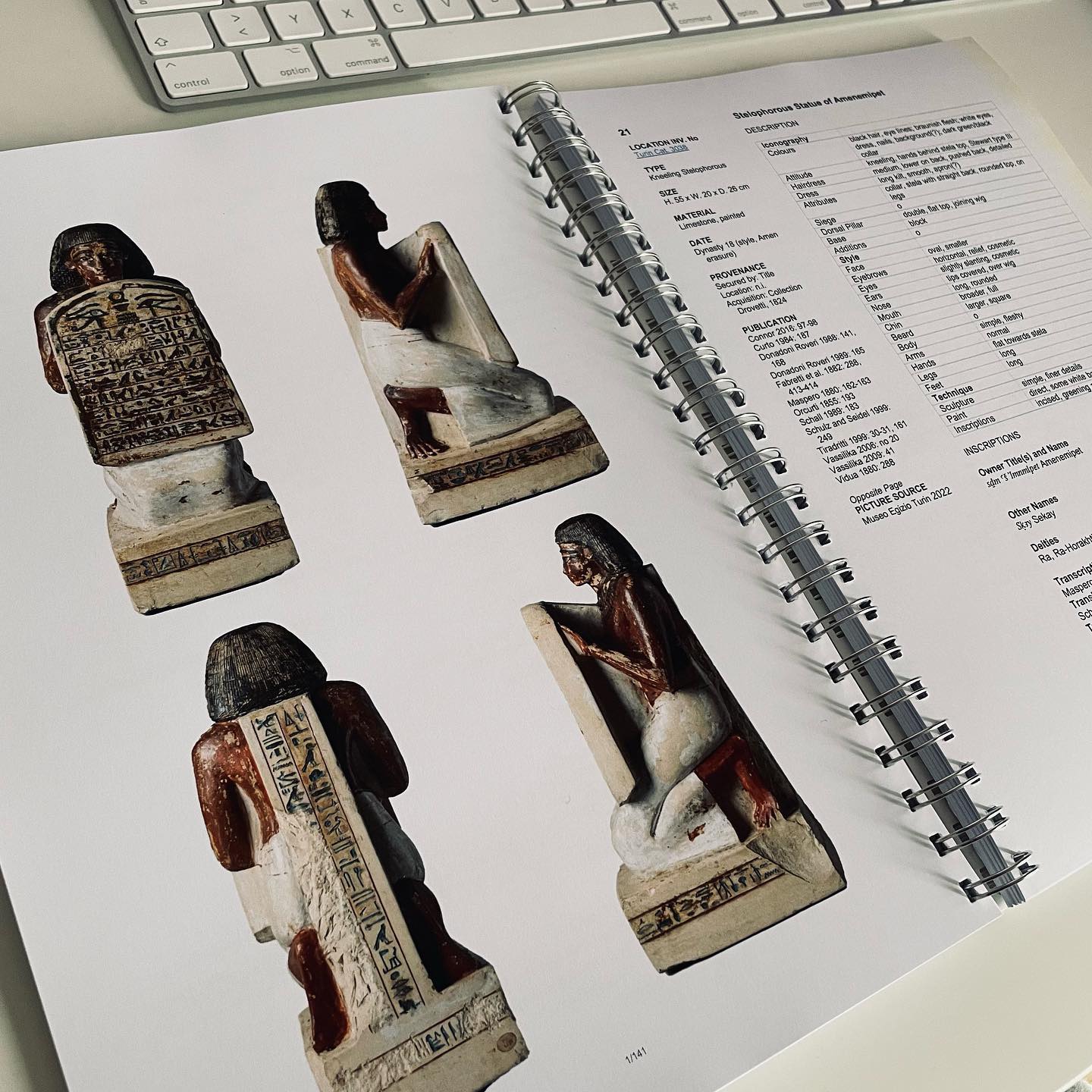 Half of the job done! By finishing my dissertation catalogue, I did the laborious part, but now, I can't escape anymore writing up the more challenging first half, the actual analysis...