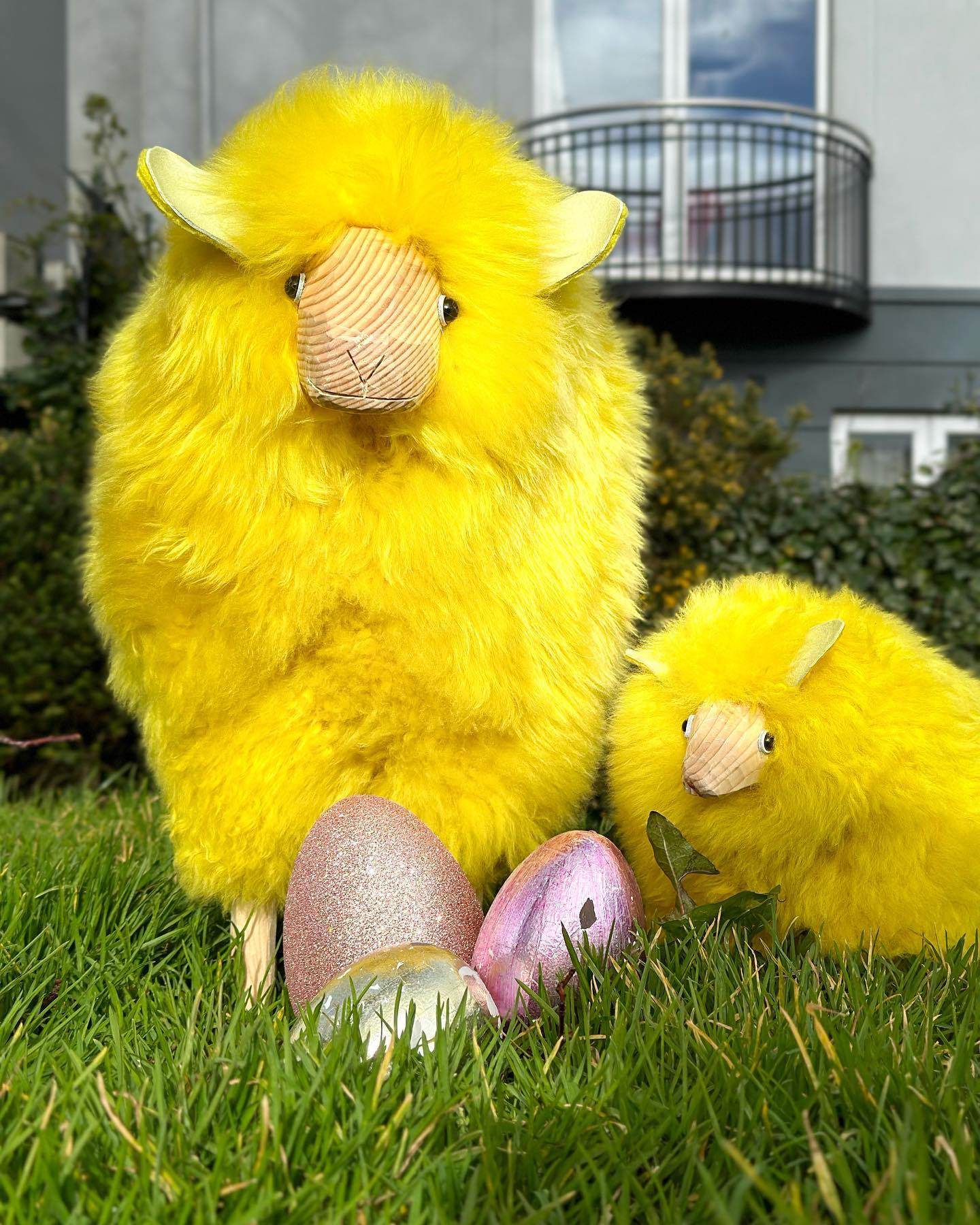 You never what you might find strolling through the fields at Easter time
#happyeaster #eastertime #easterpresent #easterireland #easterdecorations