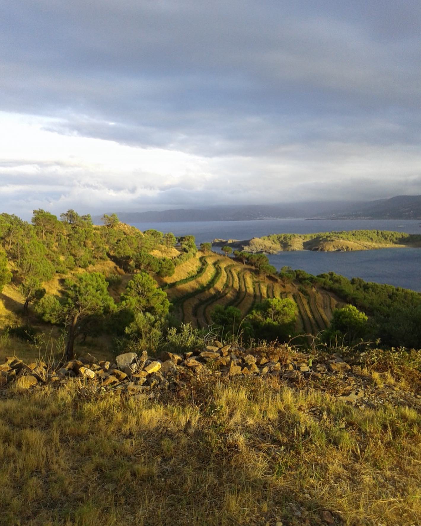 Pla de paisatge de l'Albera marítima (Departament de Territori, 2022)