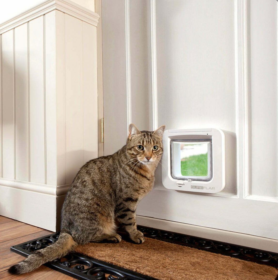 Cat Flap installation