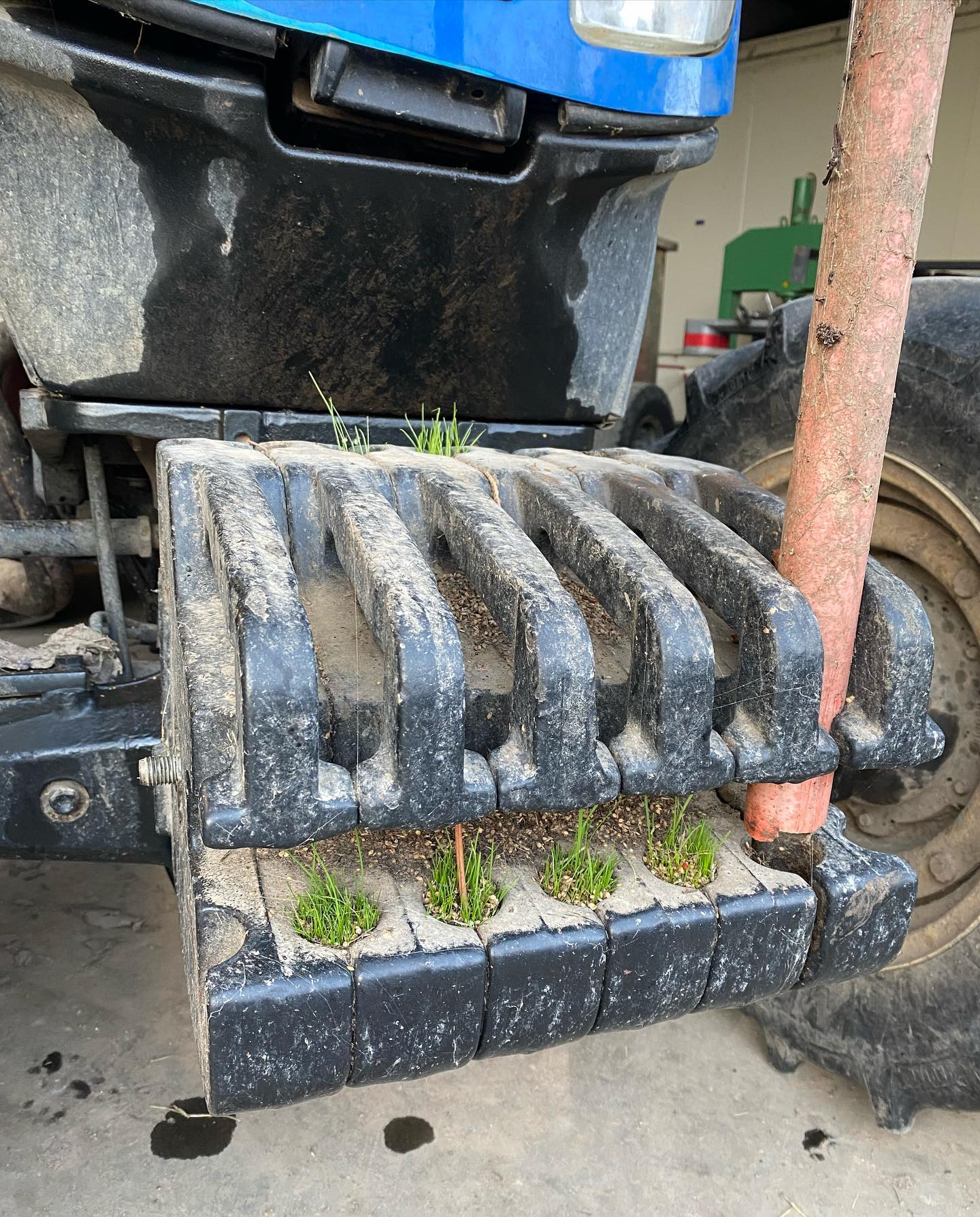 Audacious. #tractor #water #sunshine #seeds #grass
