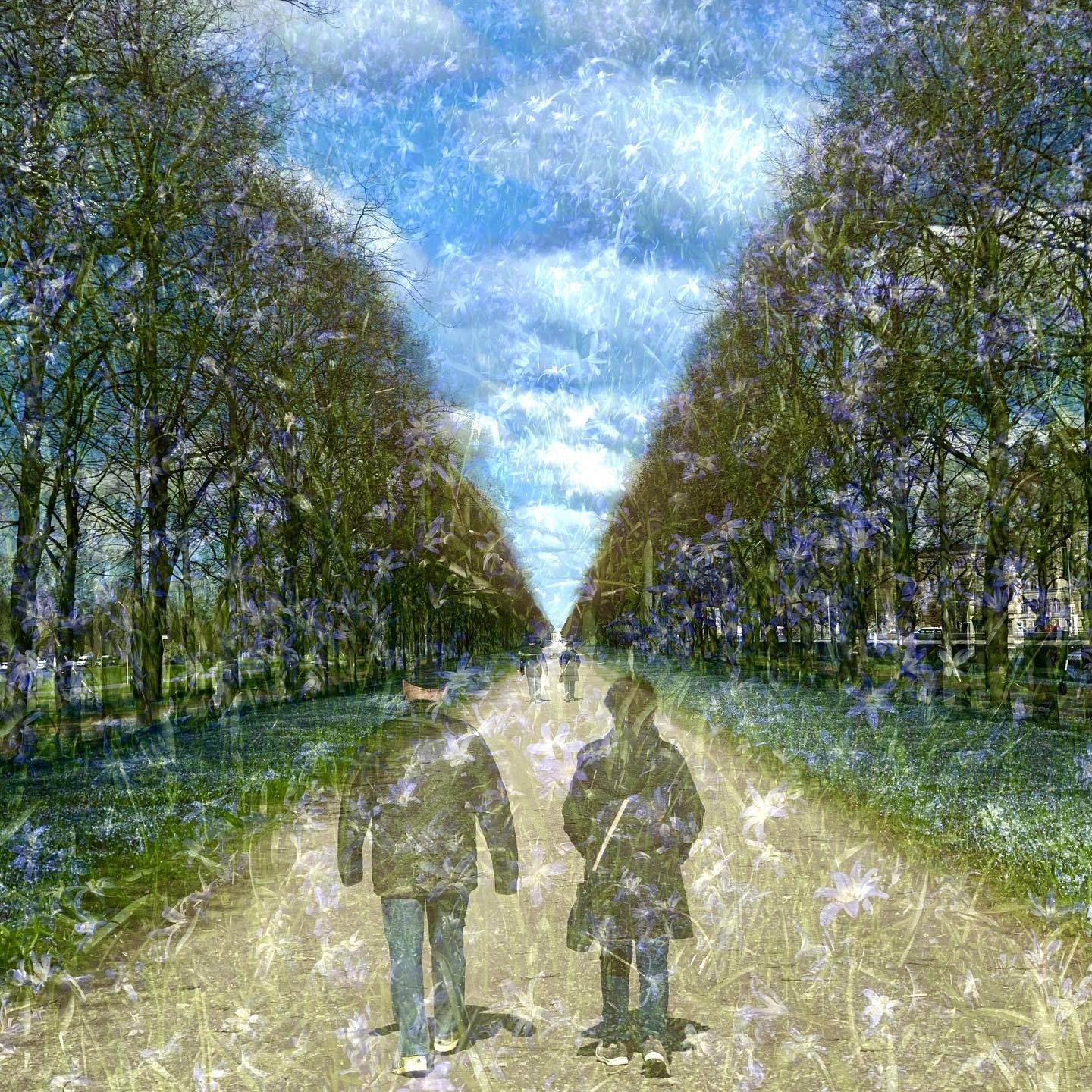 … FRÜHLINGSGEFÜHLE … #experimentellefotografie #multiexposure #nophotoshop #incamera #mehrfachbelichtung #visualart #fineartphotography #weg #abstractart #inmotion #experimentalphotography #motion #fineart #ilovehannover #hannover #artography #camerapainting #sun #lettherebelight #shadows #sunlight #celebrationoflight #ontheroad #trees #beautyofnature #driveby #drivebyshooting #sun #georgengarten #sunlover #sun