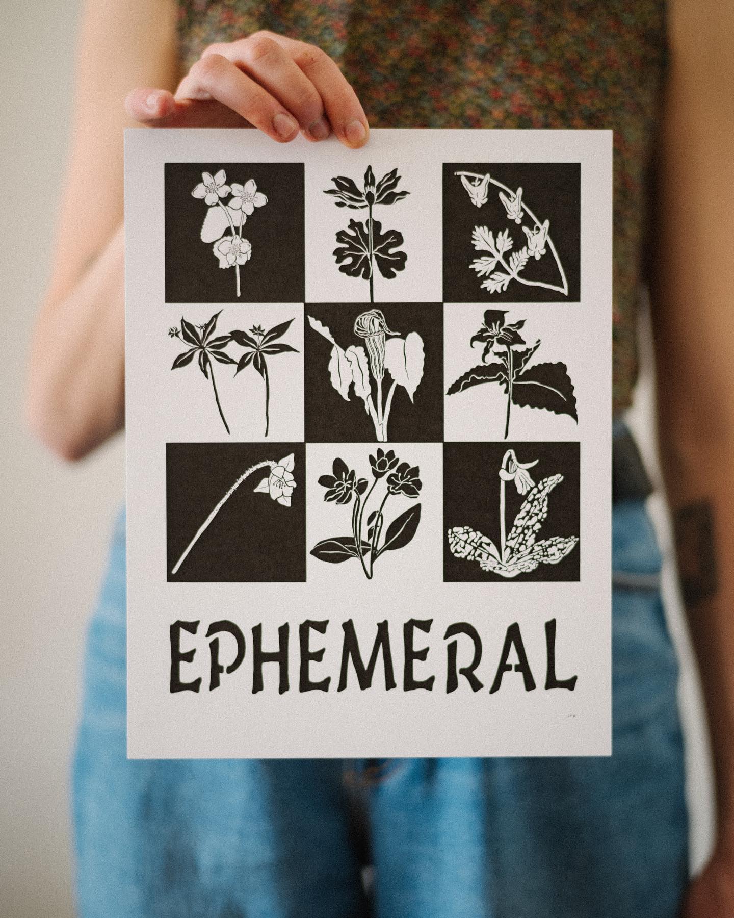 An homage to the spring ephemeral. 🌱🌞 Woodland wildflowers. Short-lived beings that bloom during the liminal period of early spring.
I love them for their cleverness. Ephemeral flowers time their emergence for the short period when trees have not yet leafed out and the sun is shining directly on the bare forest floor. I love them for their gusto. All the rest of the year they lay dormant under the earth until suddenly they put all they have into this bright, vulnerable upwards expression. They wait until conditions are just so, and then they just go for it. And then the flowers fall.
Seeing these plants glittering in the still mostly brown woods feels exciting. I think they represent this overpowering sense of joy and beauty, and also an acceptance that things cannot always be that way. But while they are - damn, soak it up!
I have a limited number of these prints for sale! These are reproductions of an original drawing, not a block or screen print (I wish I had those skills! Maybe someday). They have an i.d. key on the back that shows what species are represented. They measure 8.5x11 and cost $25 (including shipping). DM me if you would like one!
📷: my favorite photographer @danielschechner