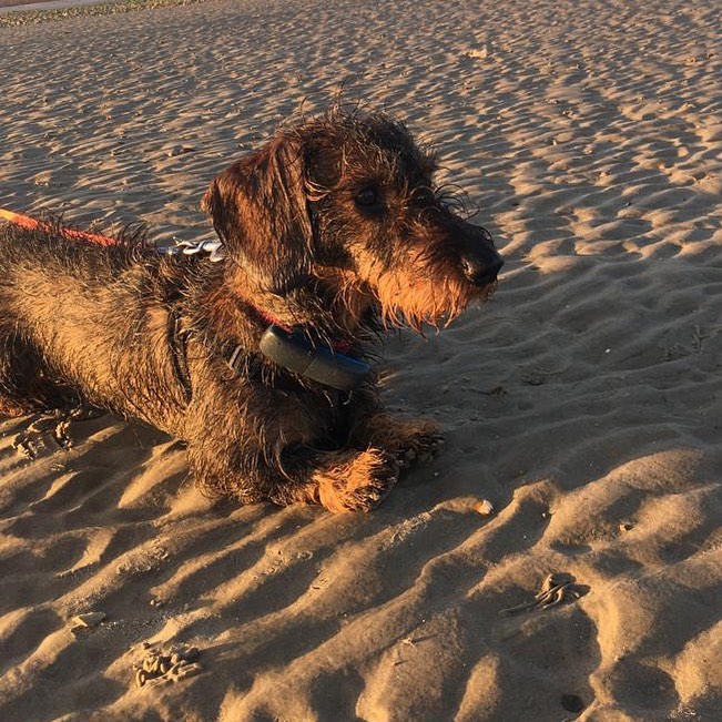 Out and about again, nice to see the sun shining ☀️