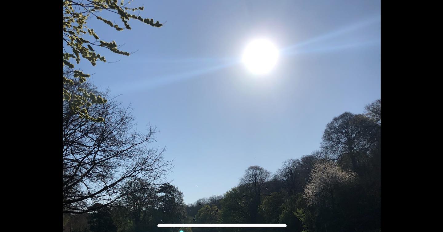 Happy New Moon in Aries New Beginnings - not a cloud in sight - sun shining bright- expansive blue sky a blank canvas to create any new beginning small or BIG my positive change is to post beautiful nature on social media ❤️❤️❤️❤️