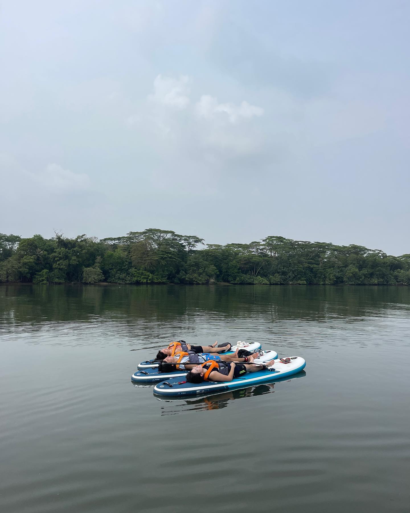 Nap time! 😂
.
.
.
.
.
#singaporetourism #suplifestyle #suplove #singaporeadventures #supday #supsession #suptours #triptosingapore #discoversg #sgdeals #supadventure #suptrip #wateractivities #singaporetravels #visitsg #familyactivity #singaporediscovers #paddlelife #supathome #paddlesports #paddleon #singaporetours #wateradventures #outdoorrecreation #whattodoinsingapore #letsexploresg #singaporeig
#nature #planetearth #Mangrove