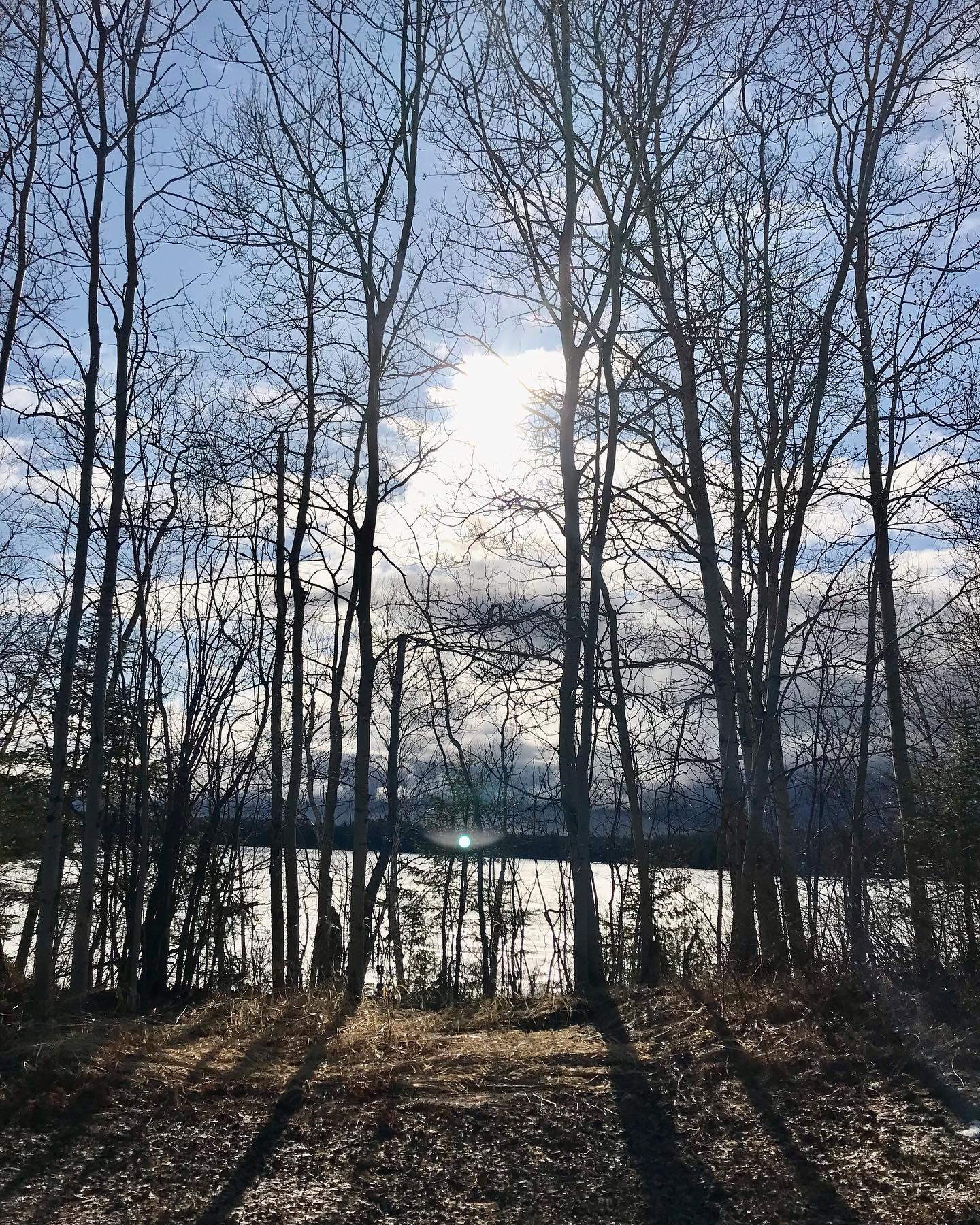 Pré-printemps au lac Fontbonne
1- Les miracles ordinaires, la qualité du regard que l’on pose sur le quotidien, c’est un immense pouvoir qui nous appartient.
- Anaïs Barbeau-Lavalette
2- Vestiges d’un hiver
de ce retour en enfance
que nous aura imposée
la pente enneigée
3- Ces moments à flirter avec nos rêves
nos idées, nos possibles
et toute la poésie
peuplant leurs interstices
- ht
4- Un jour l’humanité viendra au monde.
- Serge Bouchard
📍Preissac, Abitibi-Témiscamingue
📍Nitakinan, territoire ancestral de la nation Anishinabeg
.
.
.
.
.
#abitibi #preissan #territoire #abitibitemiscamingue #preprintemps #nordicité #foret #natureeneveil #foretnourriciere #borealie #glissade #3ski #toboggan #lapenteetaitraide #lacquicale #findesglaces #veniraumonde #sergebouchard #anaisbarbeaulavalette #qualitedesquotidiens #beautedelordinaire #poesie #PoesieNordique #poesiequebecoise #litteraturequebecoise #litterature