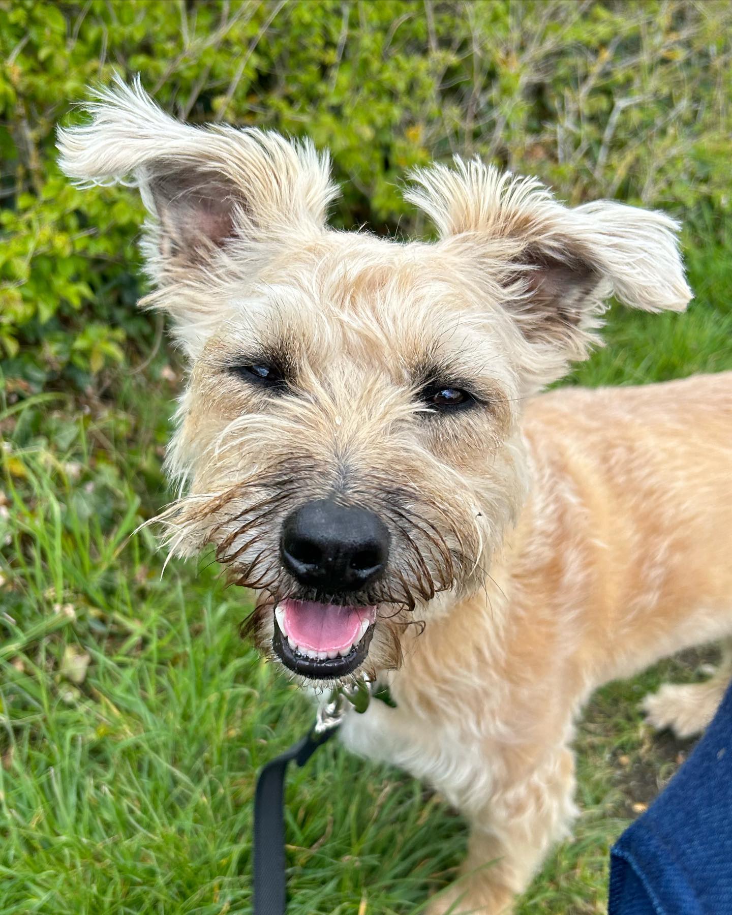 Sunny weather and great company today for Mables first outing with us.