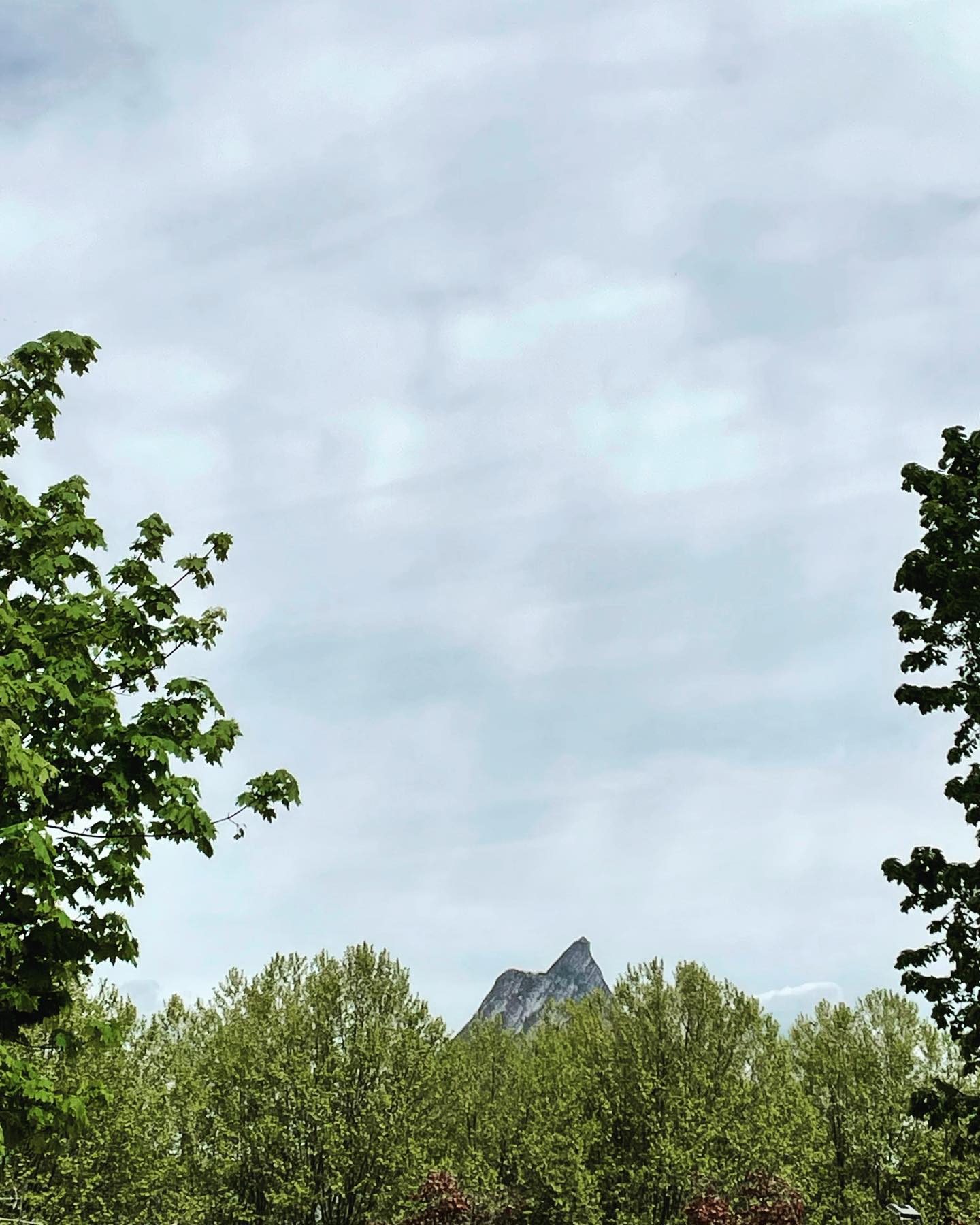 Photo prise aujourd’hui, en sortant du Lycée Aristide Bergès à Seyssinet, où j’ai une nouvelle fois appris des étudiants à l’occasion des oraux de BTS Communication. Une génération émergente de jeunes, à qui je souhaite de ne jamais perdre la joie d’apprendre dans la poursuite de leur parcours universitaire comme professionnel ☀️
Merci aux professeurs pour l’invitation !