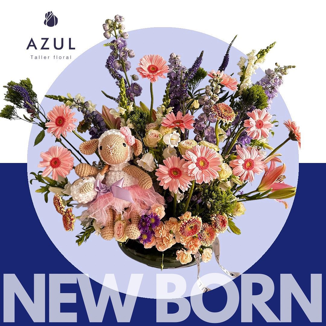 N E W B O R N - Demos la bienvenida a una nueva vida con este Jardín de Flores acompañado de un amigurumi. Un regalo hecho a mano por artistas. Porque la vida siempre se celebra.
Tamaño aprox: 80 x 80 cms
Escríbenos al WhatsApp 3212702074.
#regalospersonalizados #floresbogota #arreglosflorales