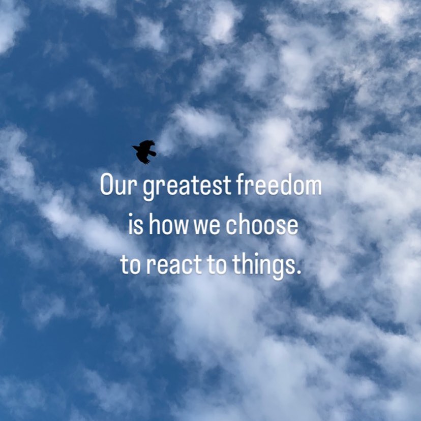 #theboythemolethefoxandthehorse