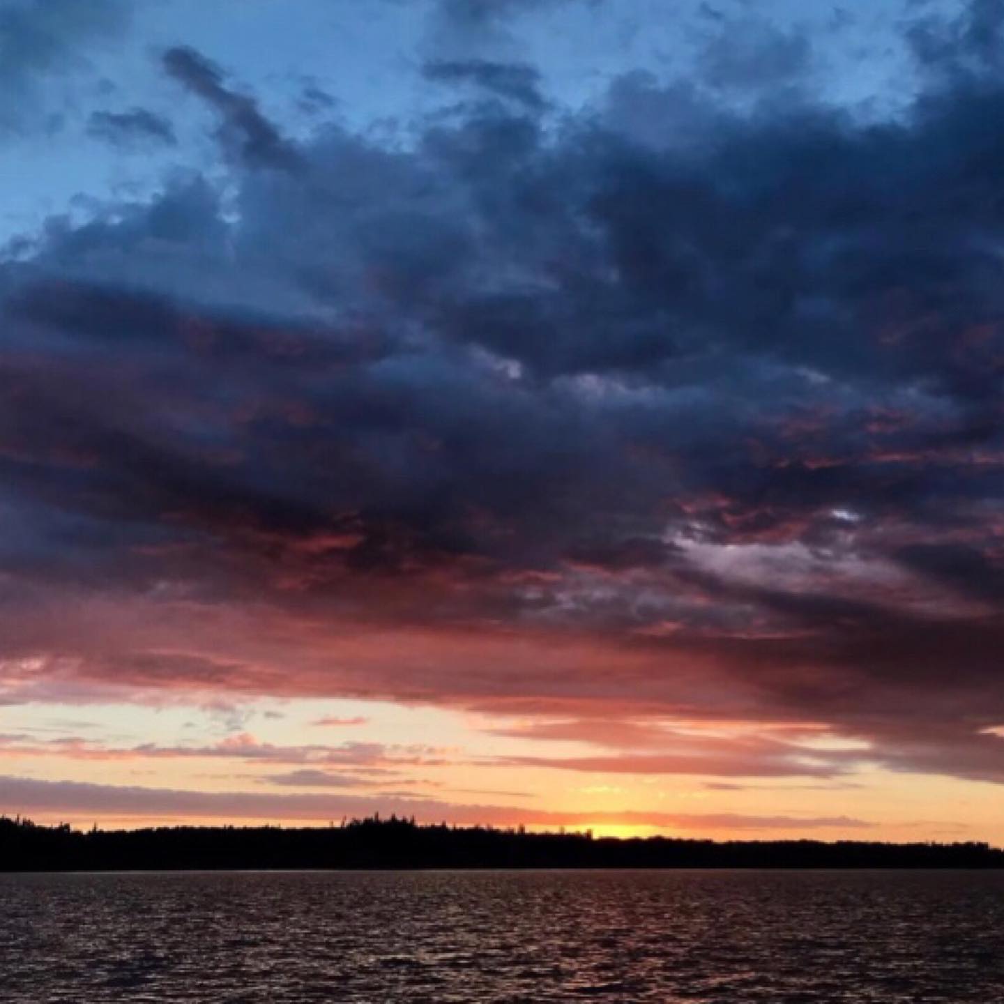 #poesieressac
Les deux premiers textes publiés sur le blog Poésie // Ressac.
👉 Lien en bio 🔗
- De mots et de ressac -
Ce texte, c’est un peu la genèse du thème du ressac comme objet poétique, mais c’est aussi l’espoir des replis sur soi qui confortent la guérison et permettent de reprendre la barre de nos vies.
- Ça -
Ce poème, que j’ai récemment récité dans le cadre de l’événement Les dix heures de la poésie de la Nuit Blanche de Mtl édition 2023, raconte nos mal-êtres qu’on peine à nommer, ceux qui grugent dans l’ombre et dont la pandémie en aura fait jaillir la couleur.
#poesie #poesiequebecoise #demotsetderessac #ca #pandemie #poesienordique #poesieressac #ressac #litterature #blog #blogpoesie #ecriture #lesmotspourlesmaux #poèteencavale #writing #poetry